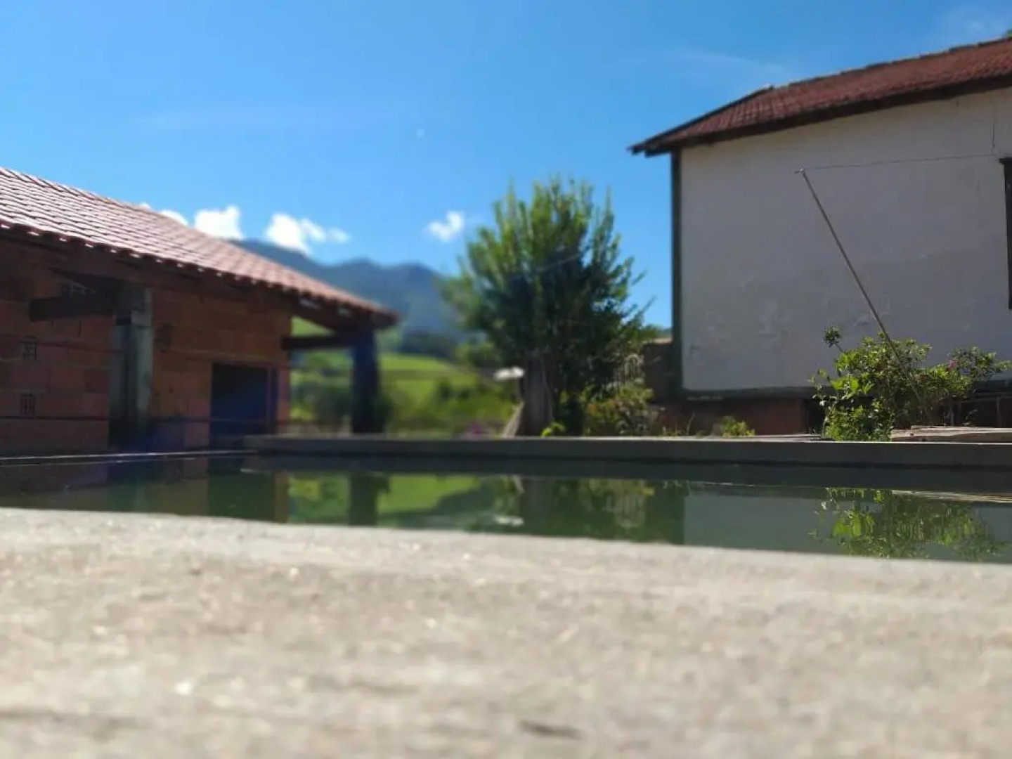 Hostel Pousada Harpia