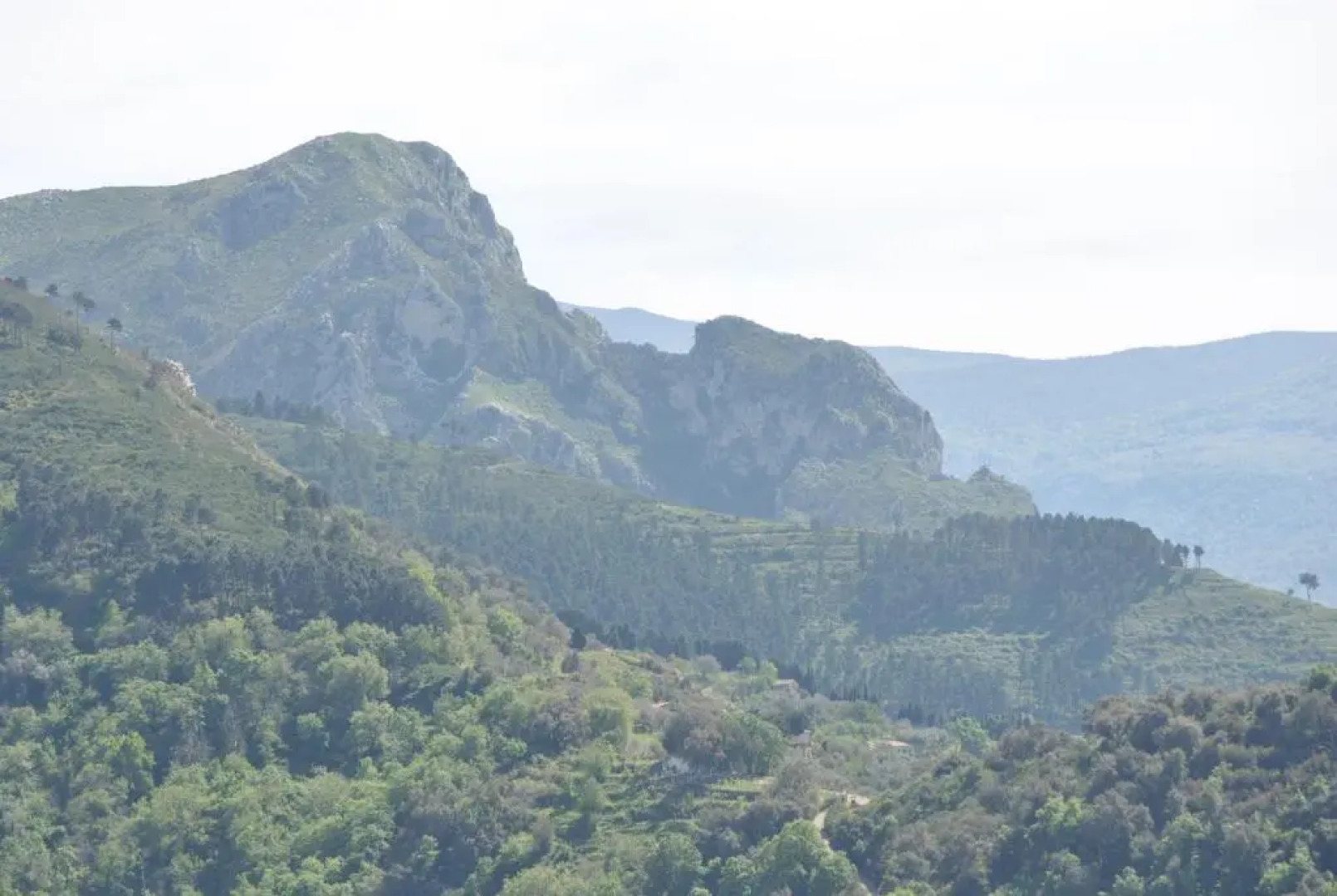 Bed & Breakfast StudioArcodia