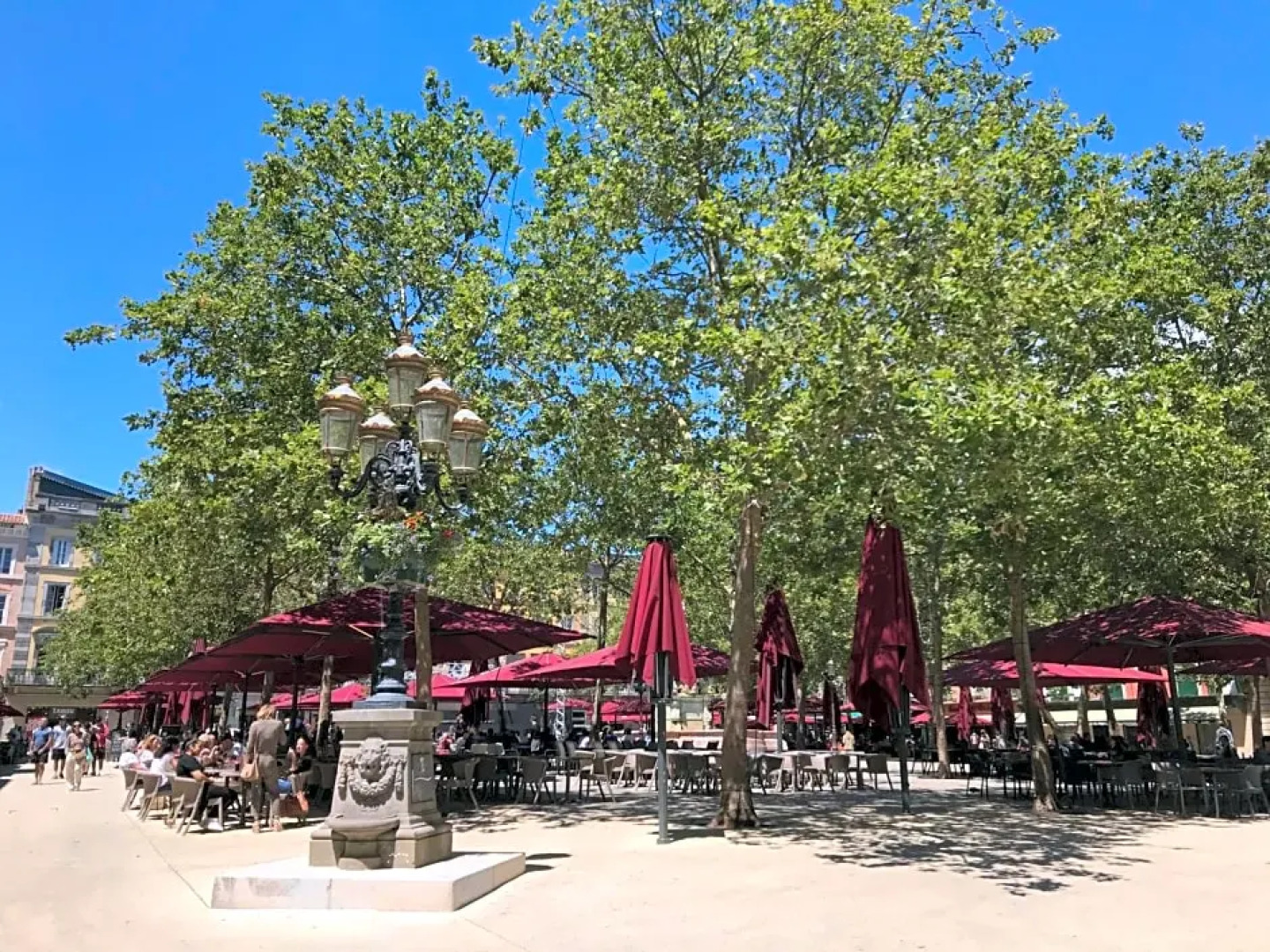 La Rosela de la Cite (Adults Only)