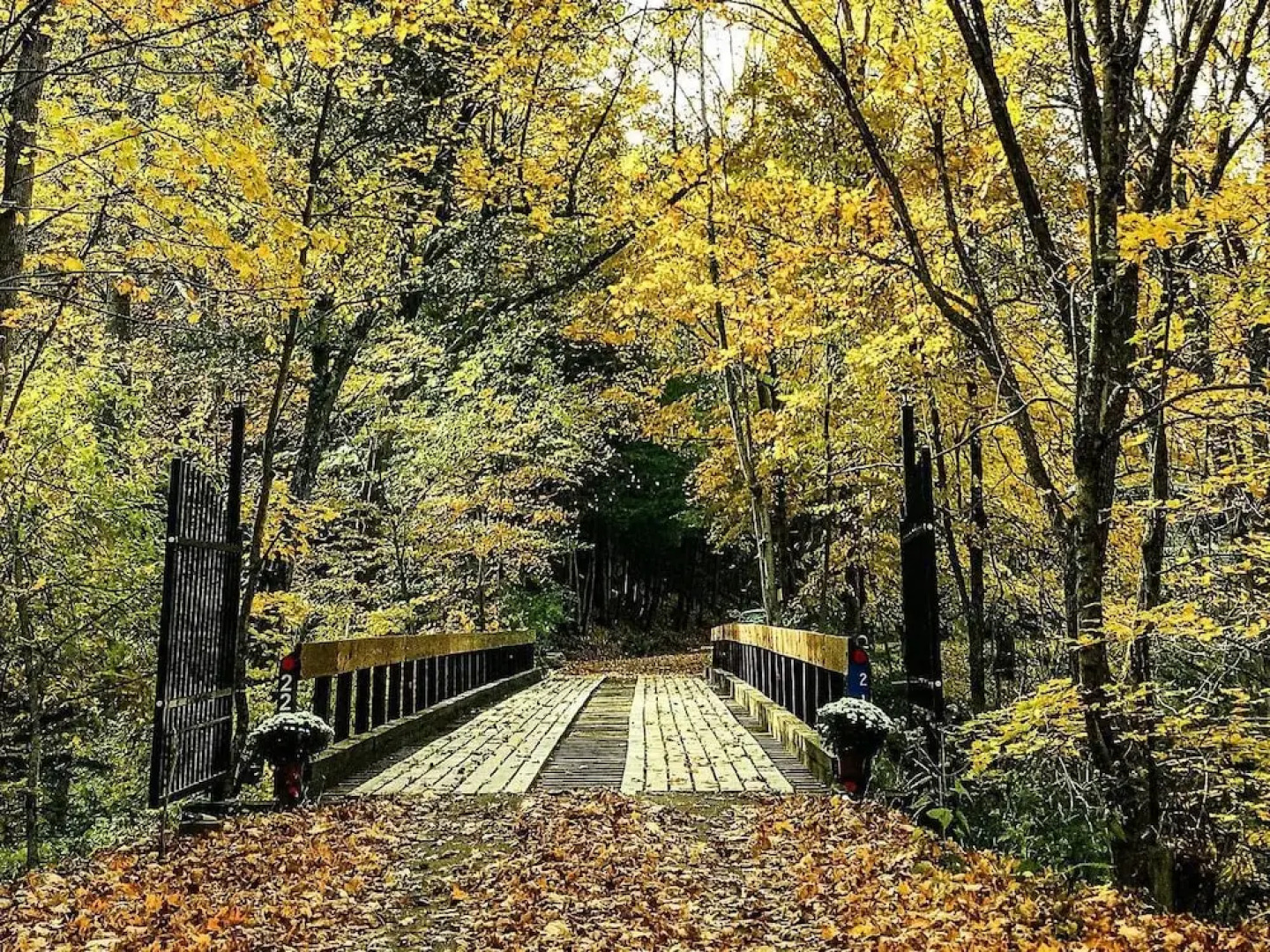 Tentrr- Hucklebuck Railway Camp