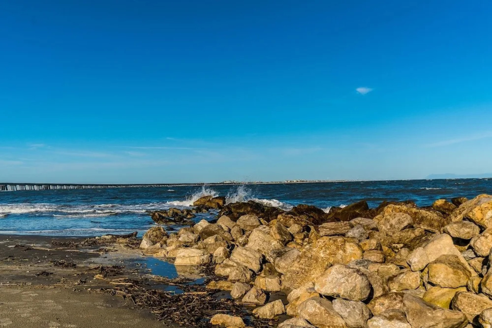 Lilly Pad 3 Bedroom Home