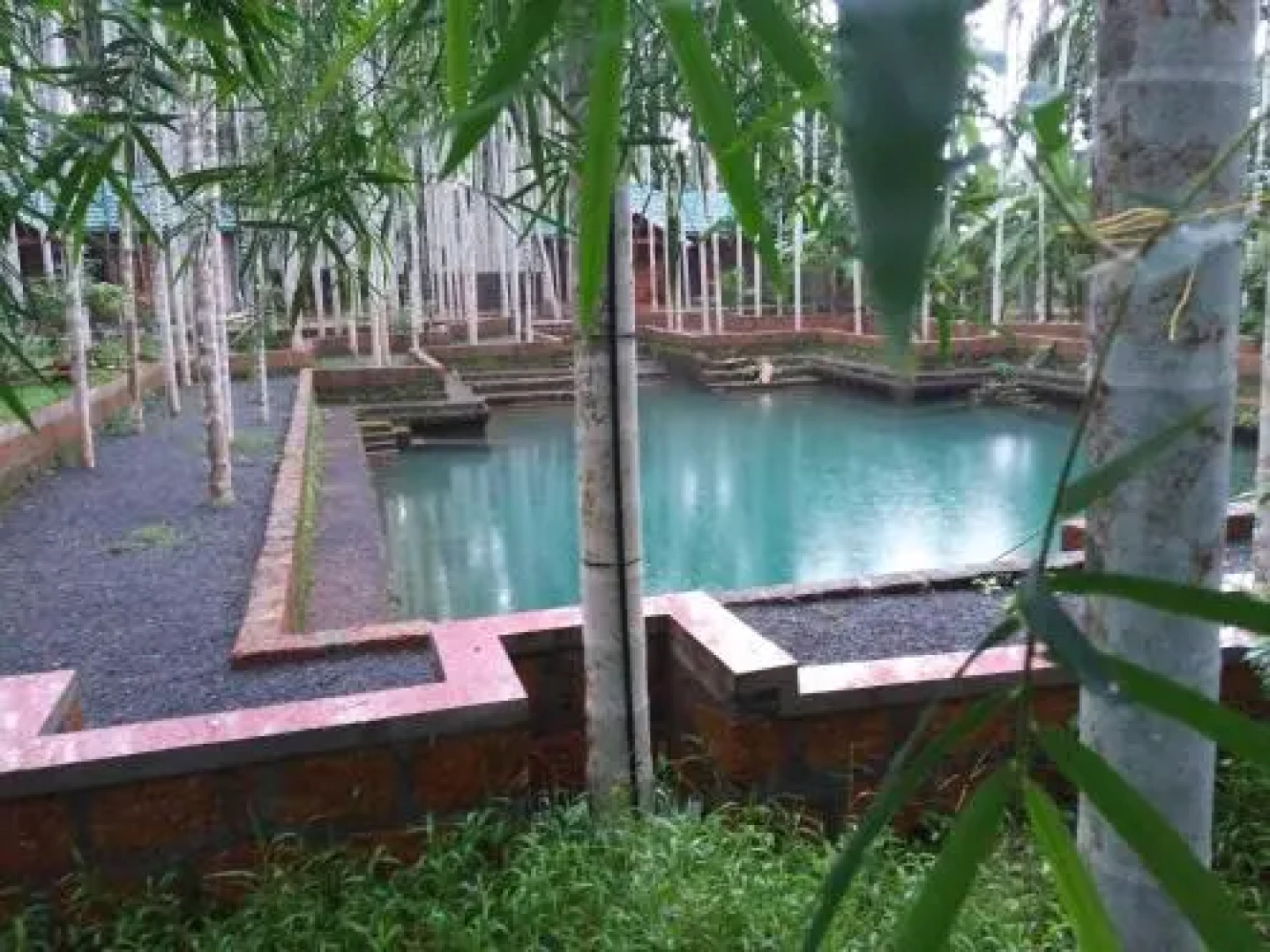 The Story Tellers Grove