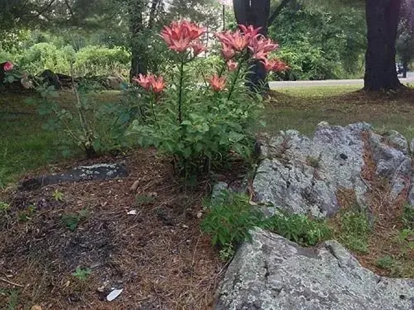 Sams Cottage on the Greens