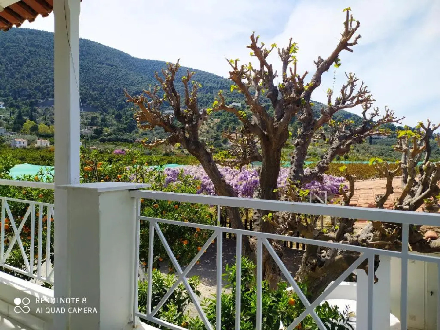 Sea waves apartments