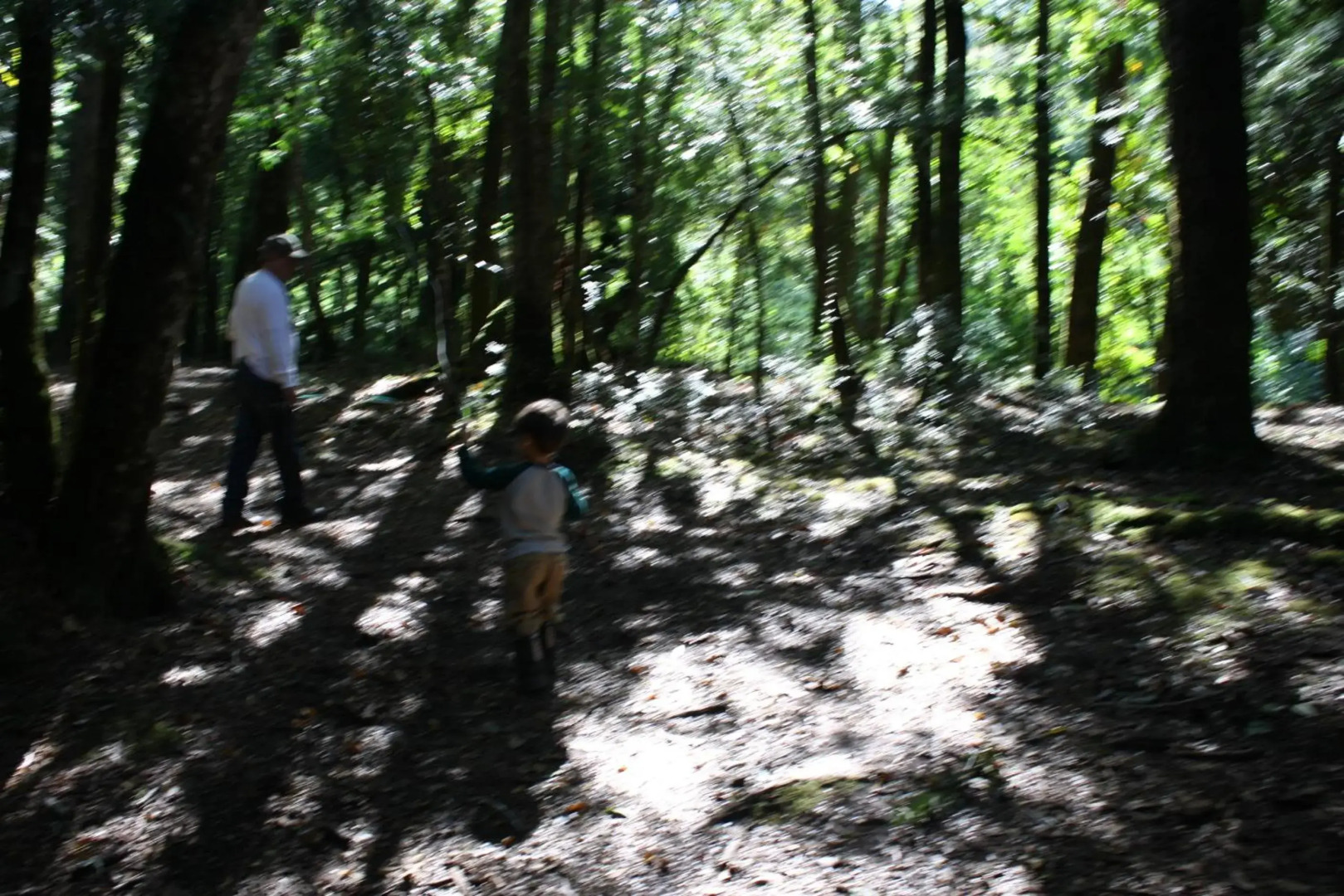 Cabaña Aroma de Campo