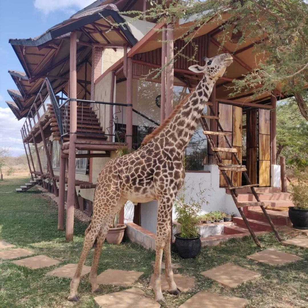 Oldonyo Orok Camp
