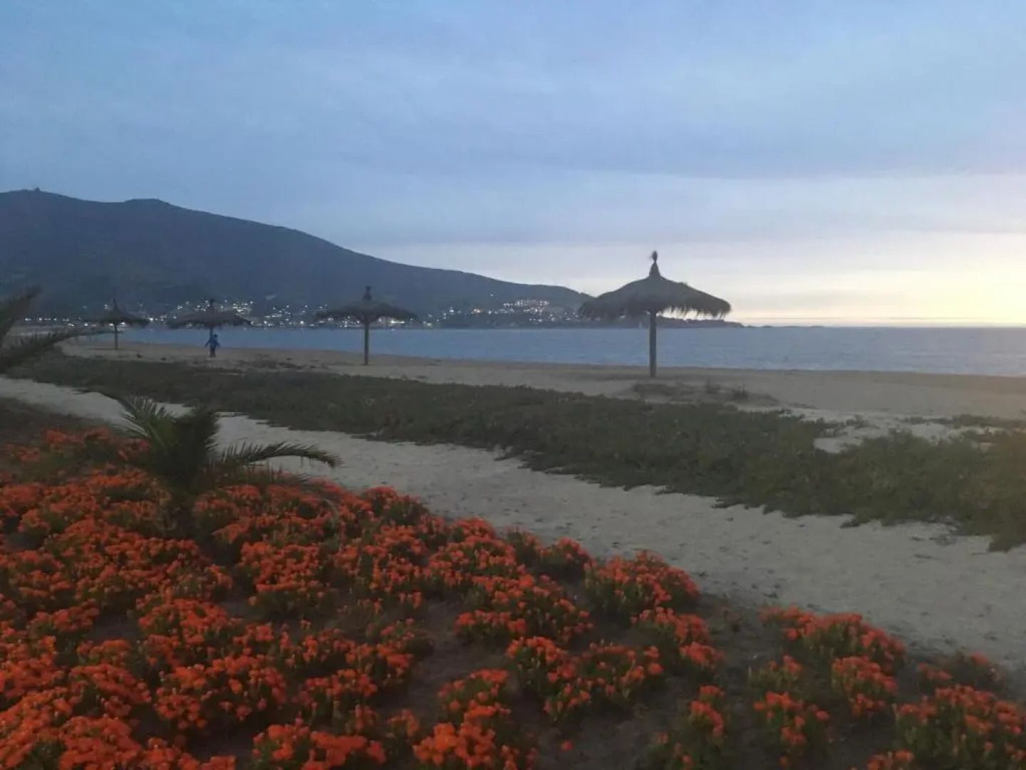 Departamento Punta Puyai