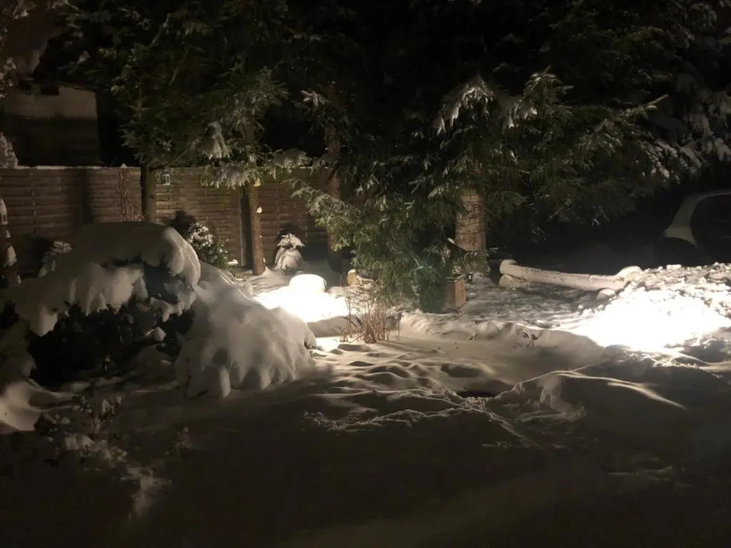 Apartament Stokrotka