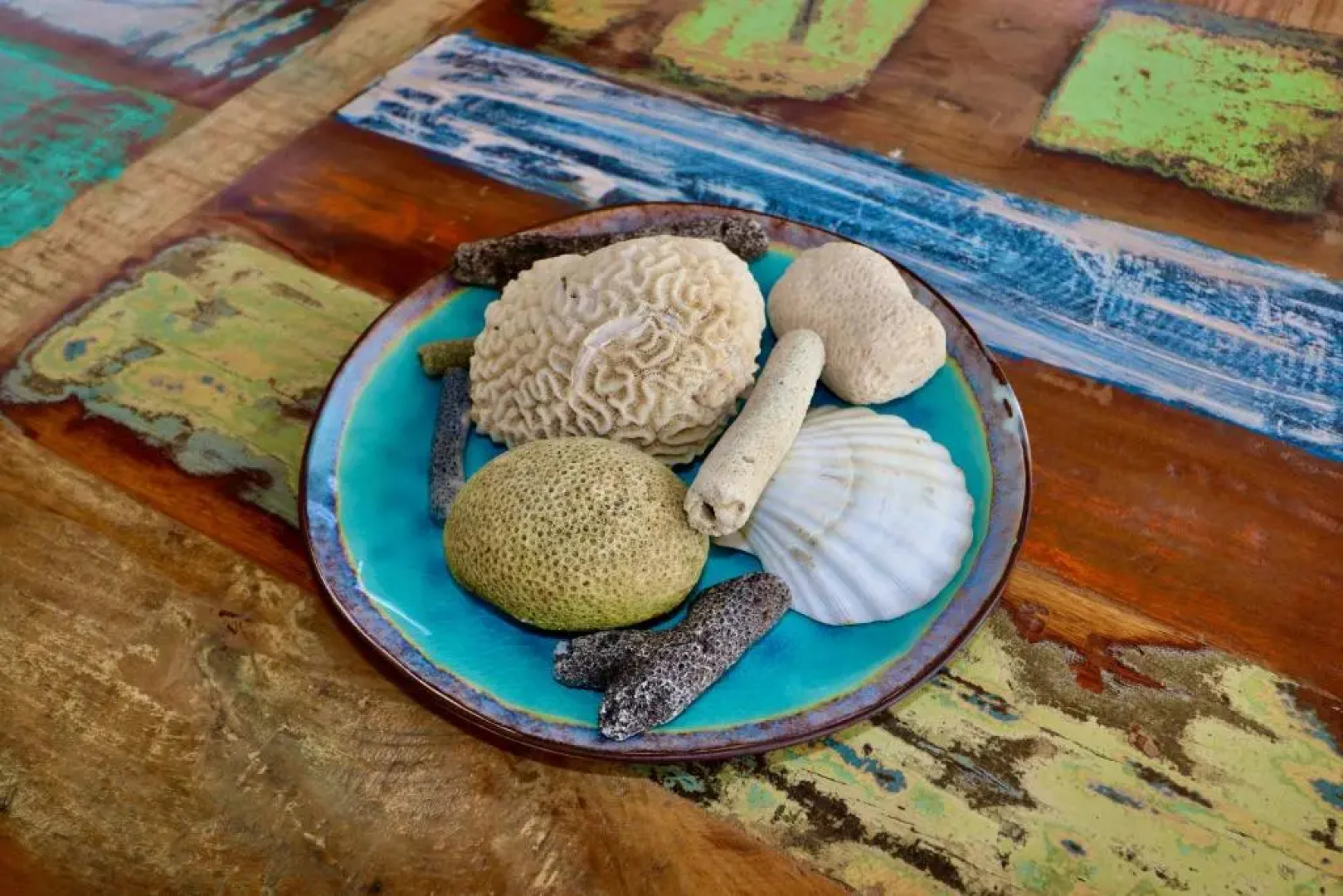 Tropical bungalow in Seru Coral Resort Curacao with beautiful gardens, privacy and large pool