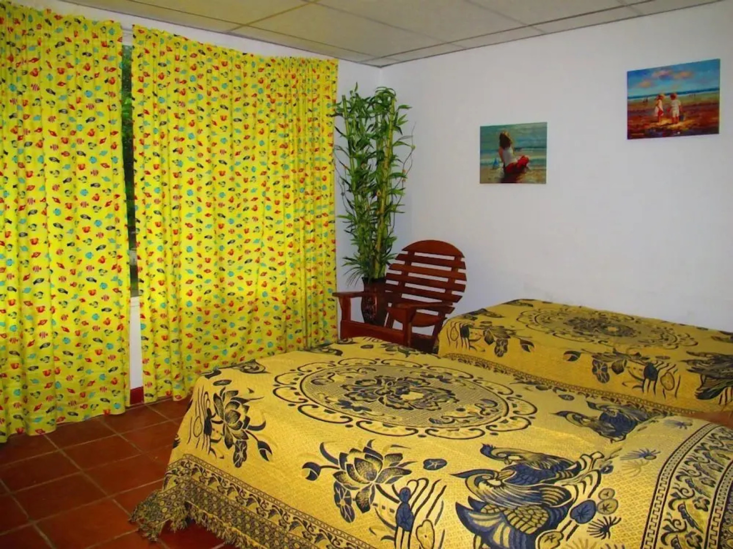 Panama Divers & Octopus Garden Dive Center