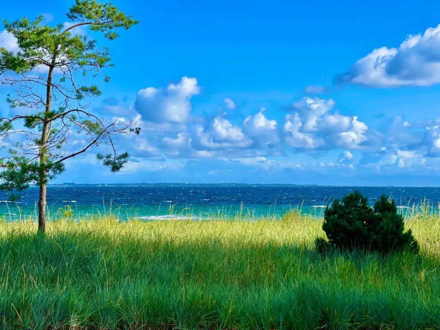 Goldmädchen 93 - Beach House