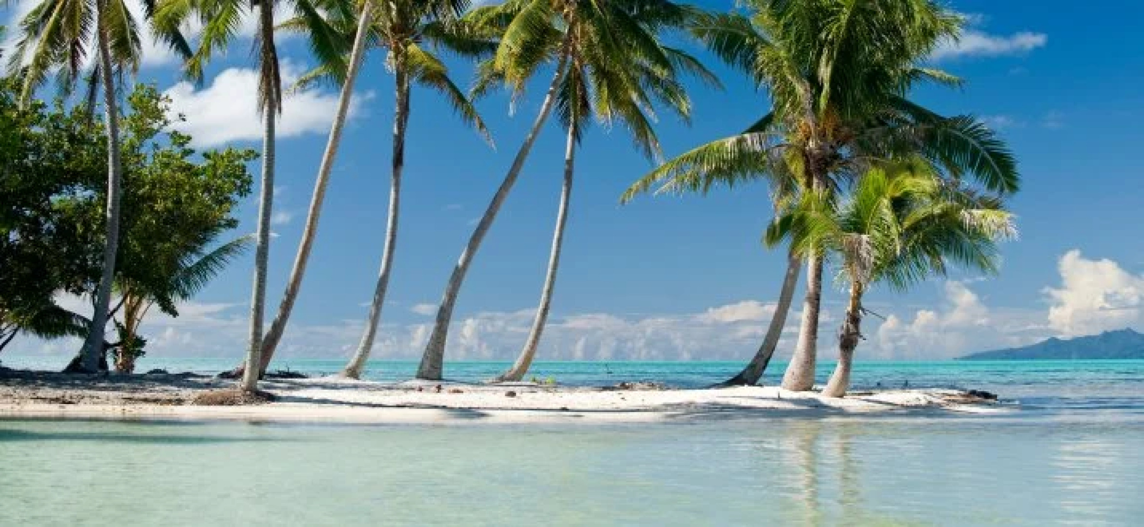 Vahine Island Resort