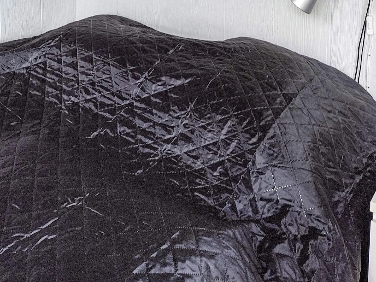 4 Person Holiday Home in Odder