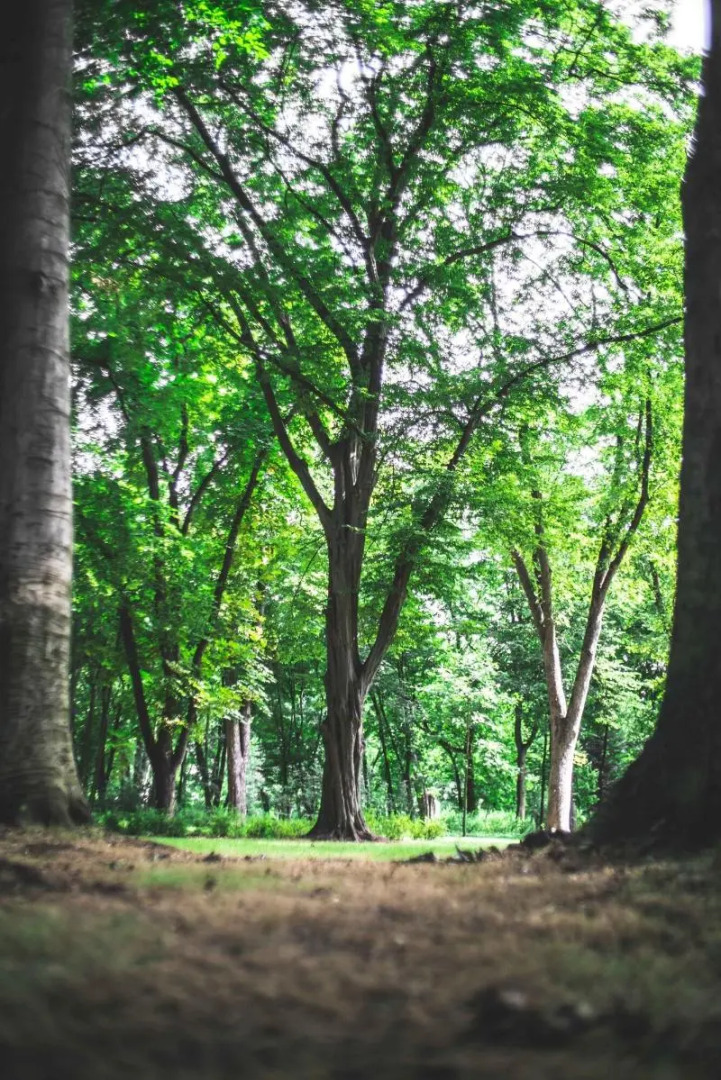 Botaniq Castle of Tura