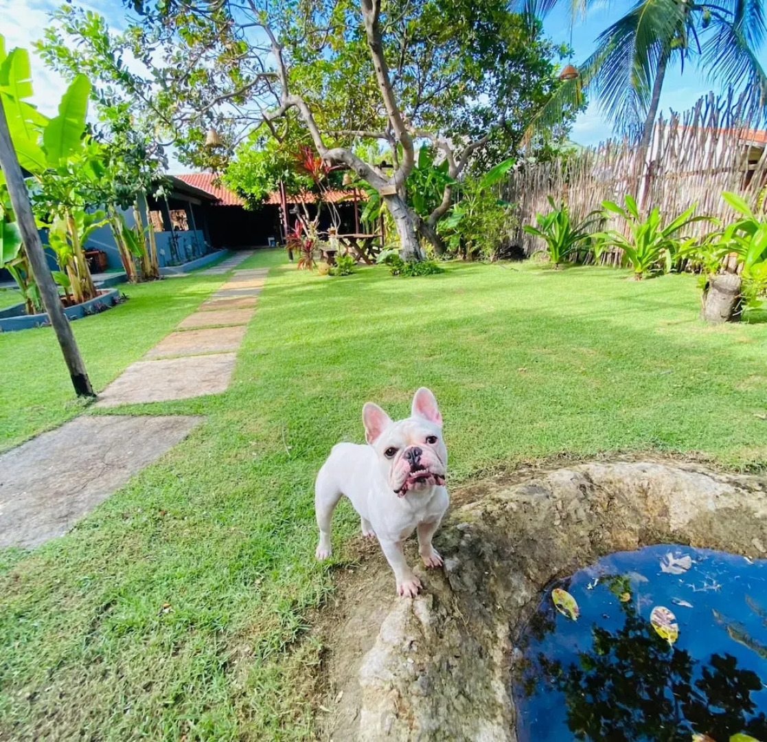 Pousada Morada das Dunas