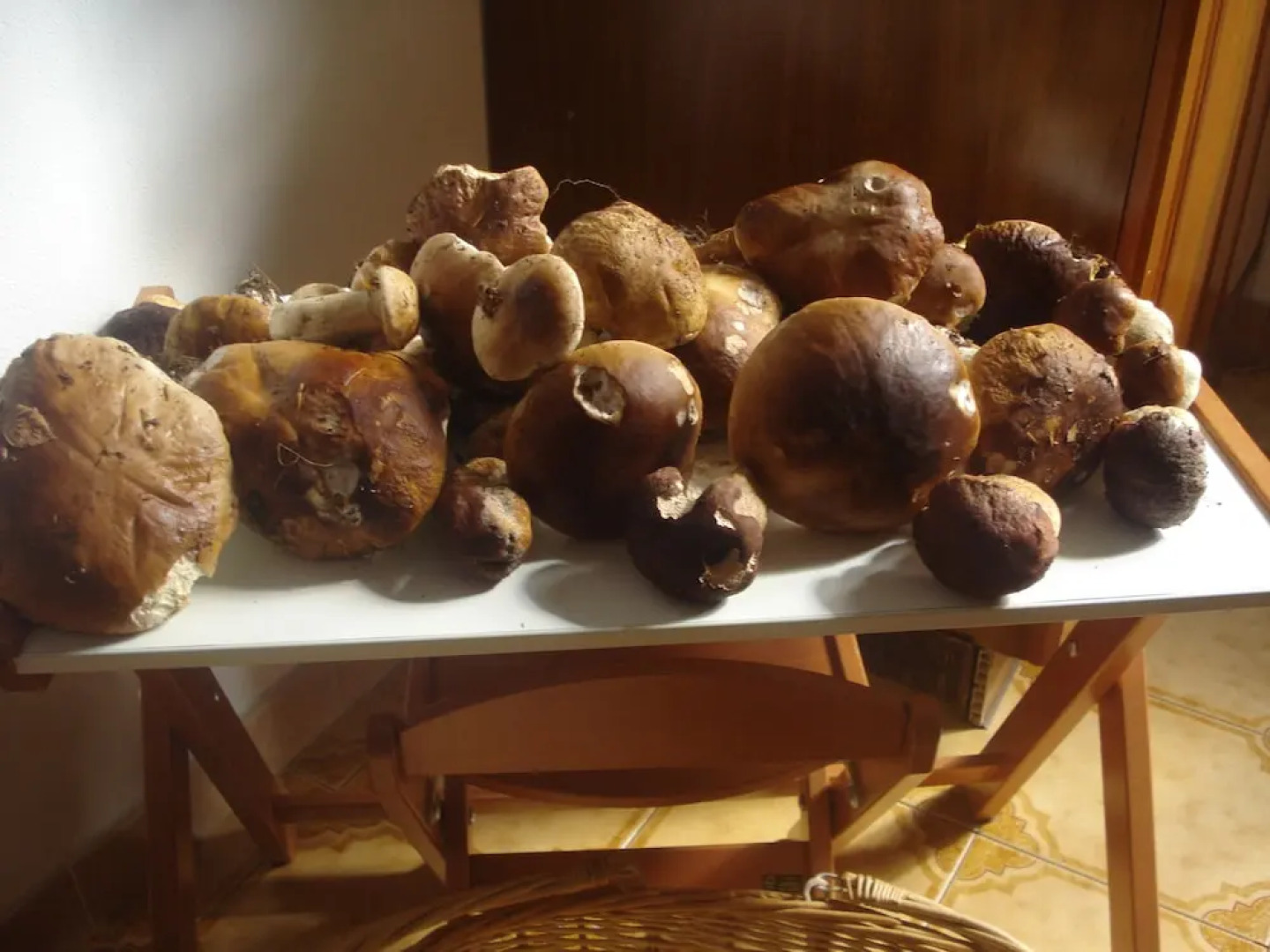 La Fattoria Montalcinello