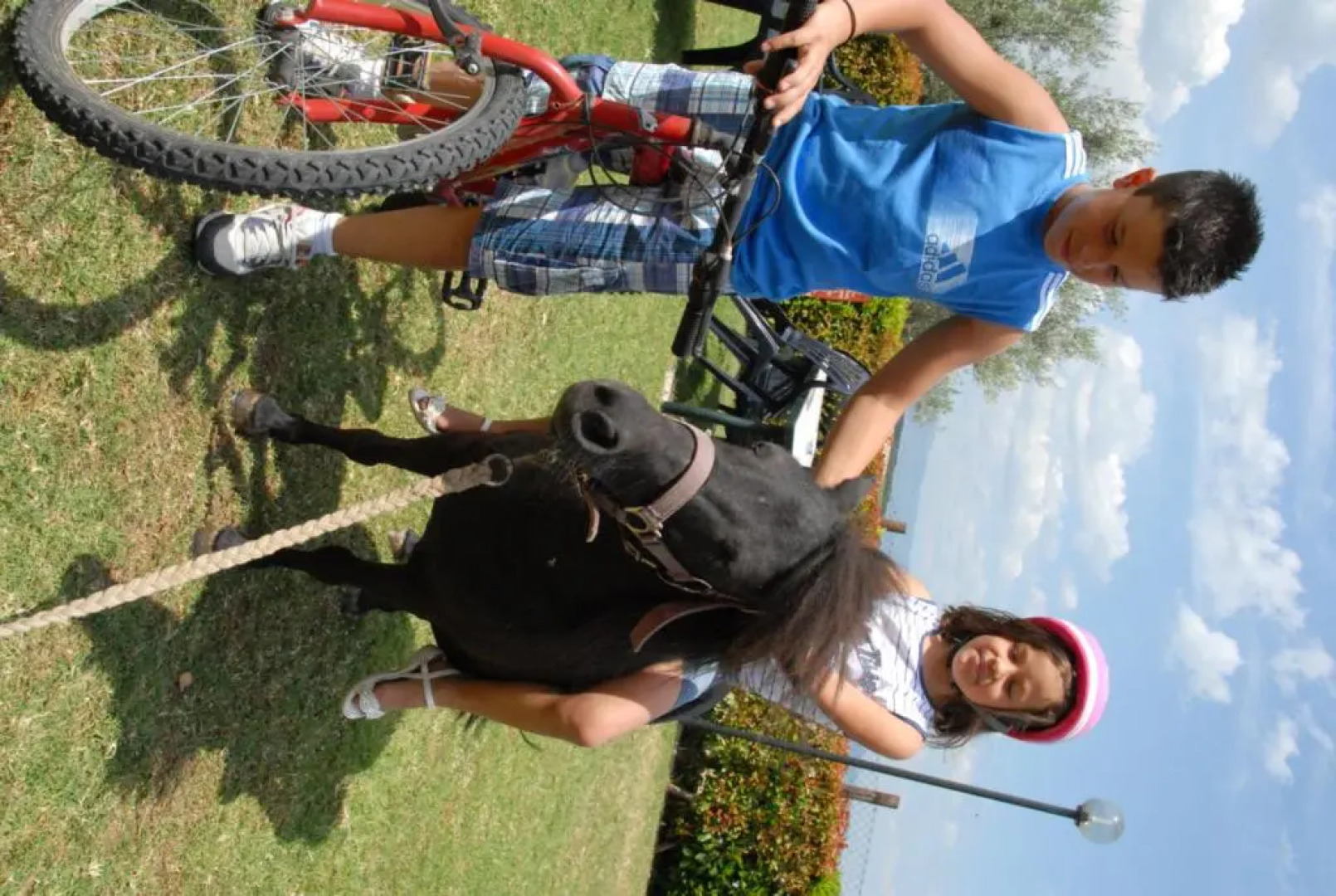 La Piaggiola degli Olivi