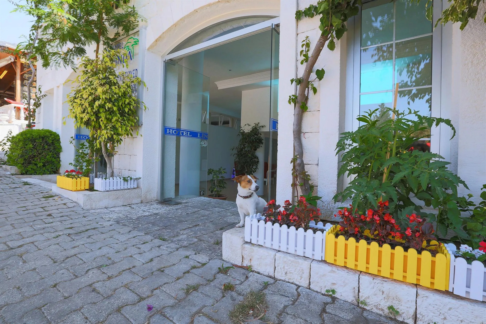 Отель Linda Beach