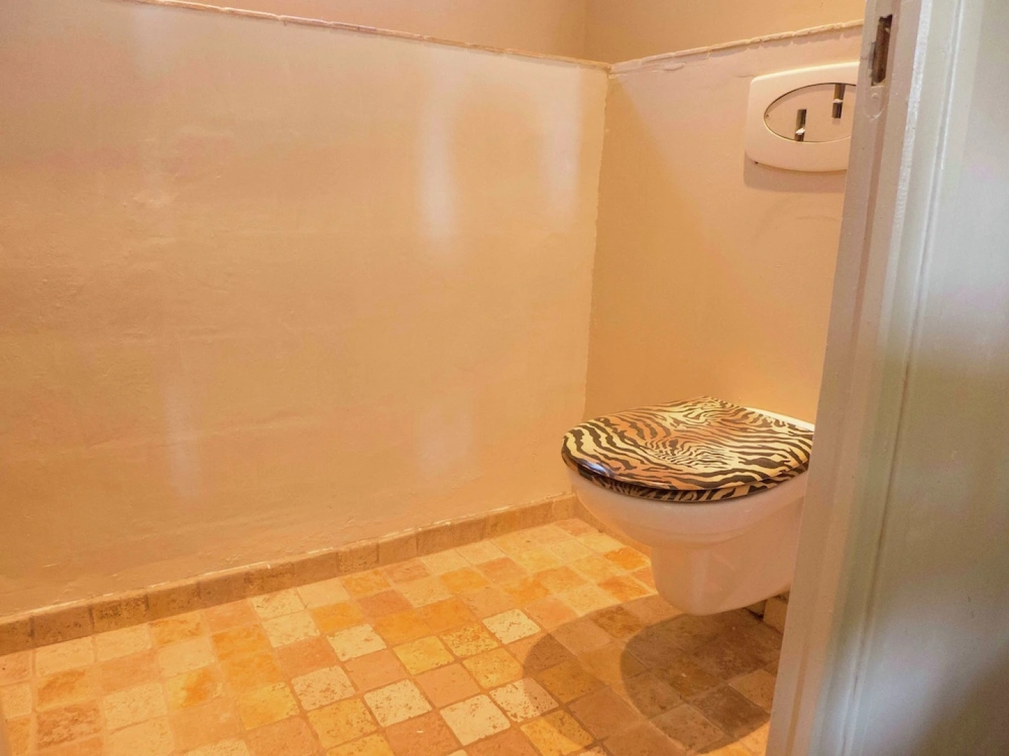 Stunning Holiday Home With Swimming Pool in Loupia