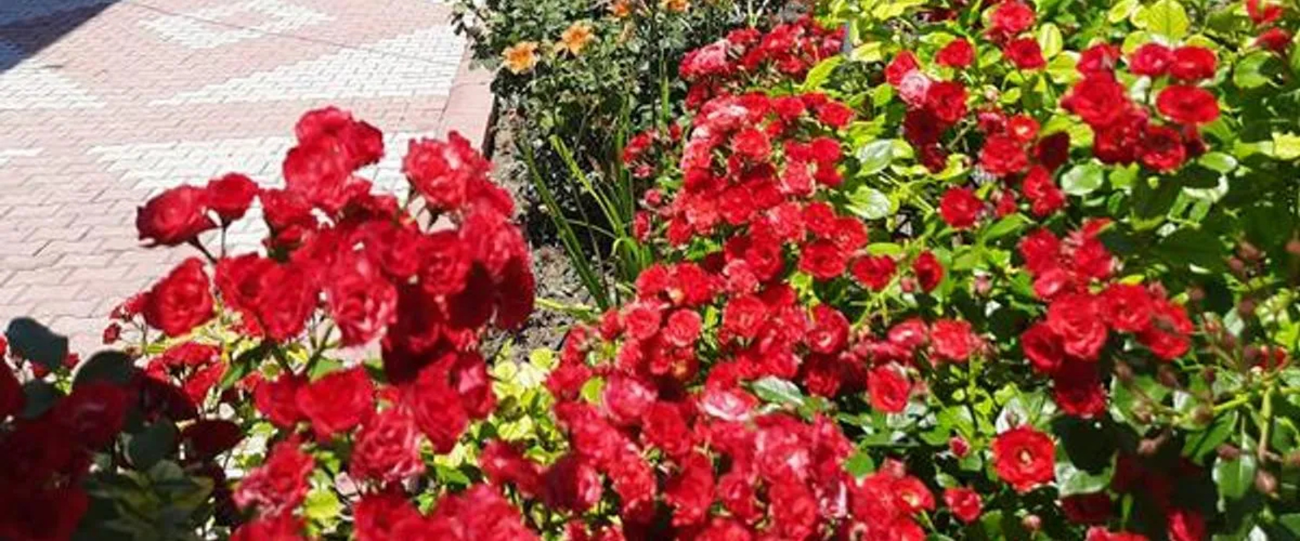 Salda Apart Pansiyon