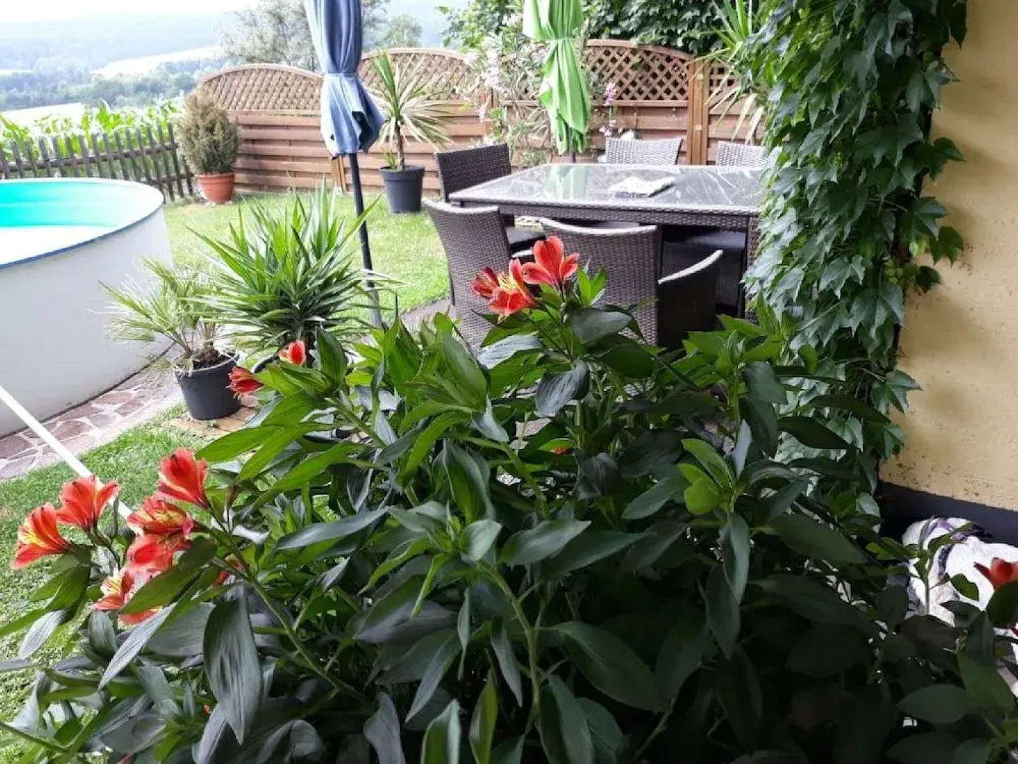 Ferienwohnung Richter