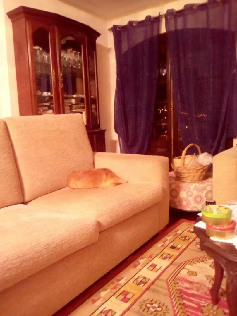 Villa With 6 Bedrooms in Mira de Aire, With Wonderful Mountain View, Private Pool, Enclosed Garden