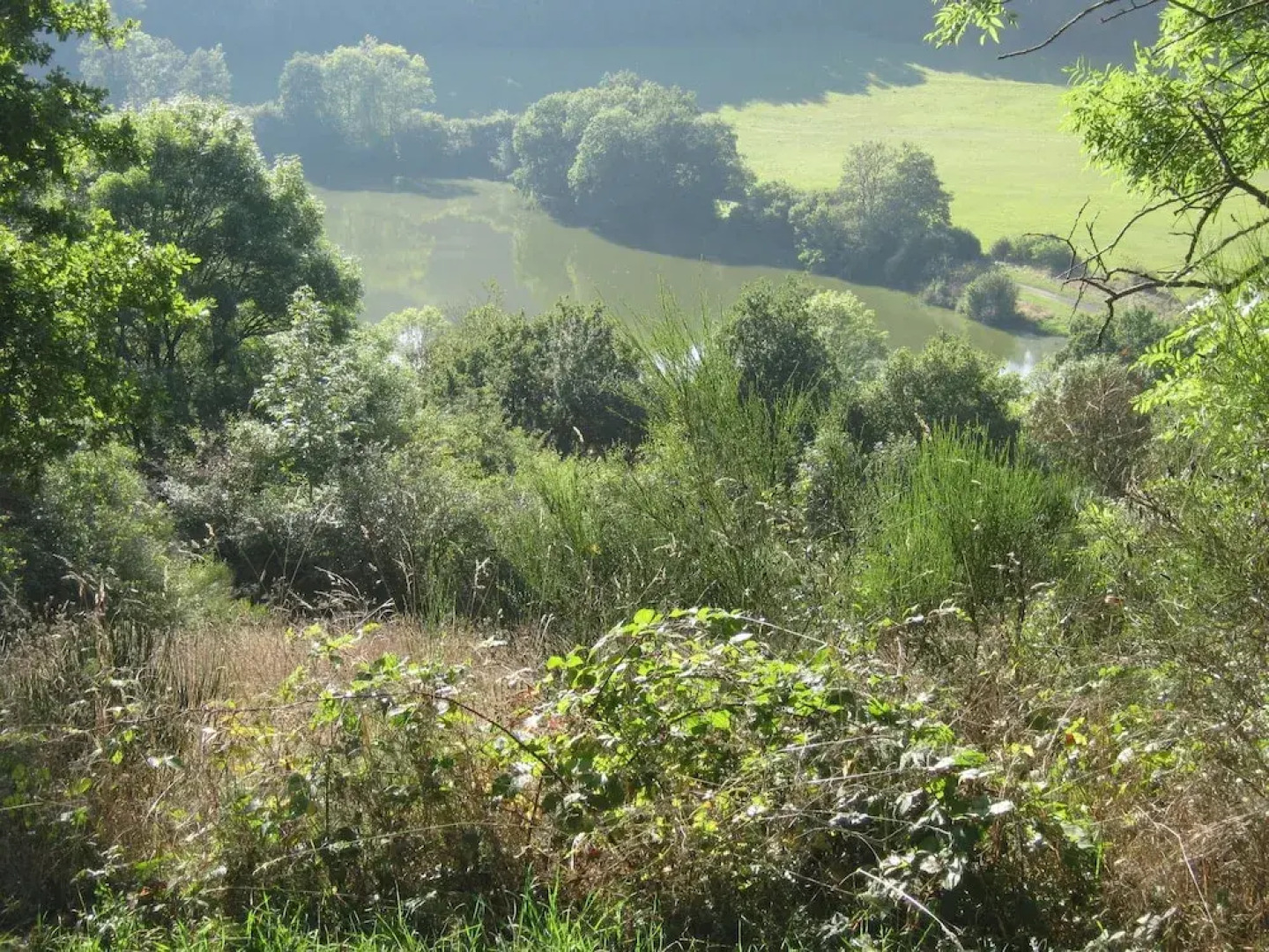 Spacious Apartment in Immerath With Sauna