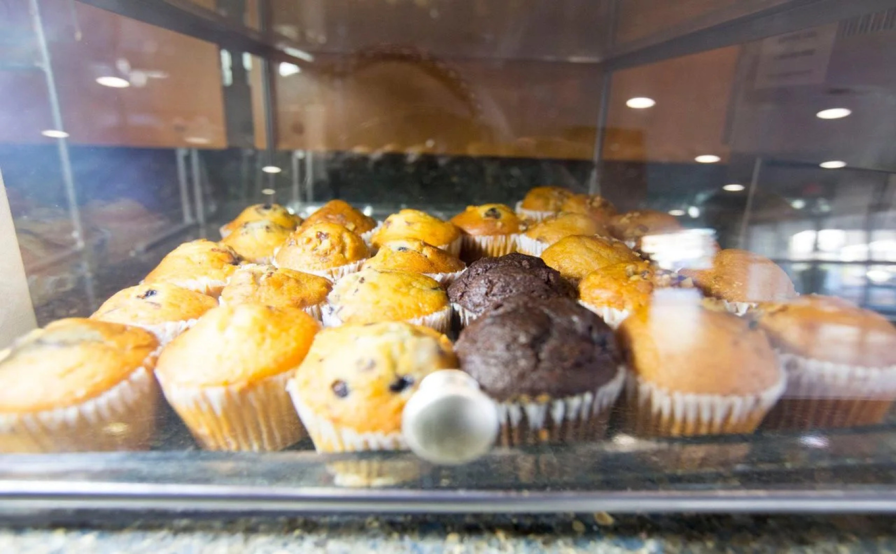 Hotel Indigo St Louis - Central West End by IHG