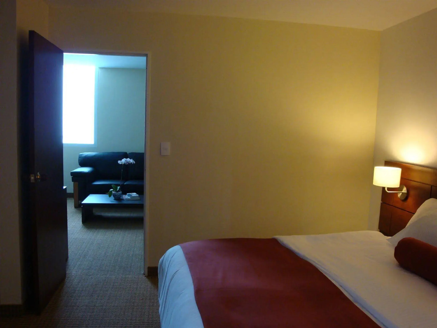 Hotel Continental Altamira