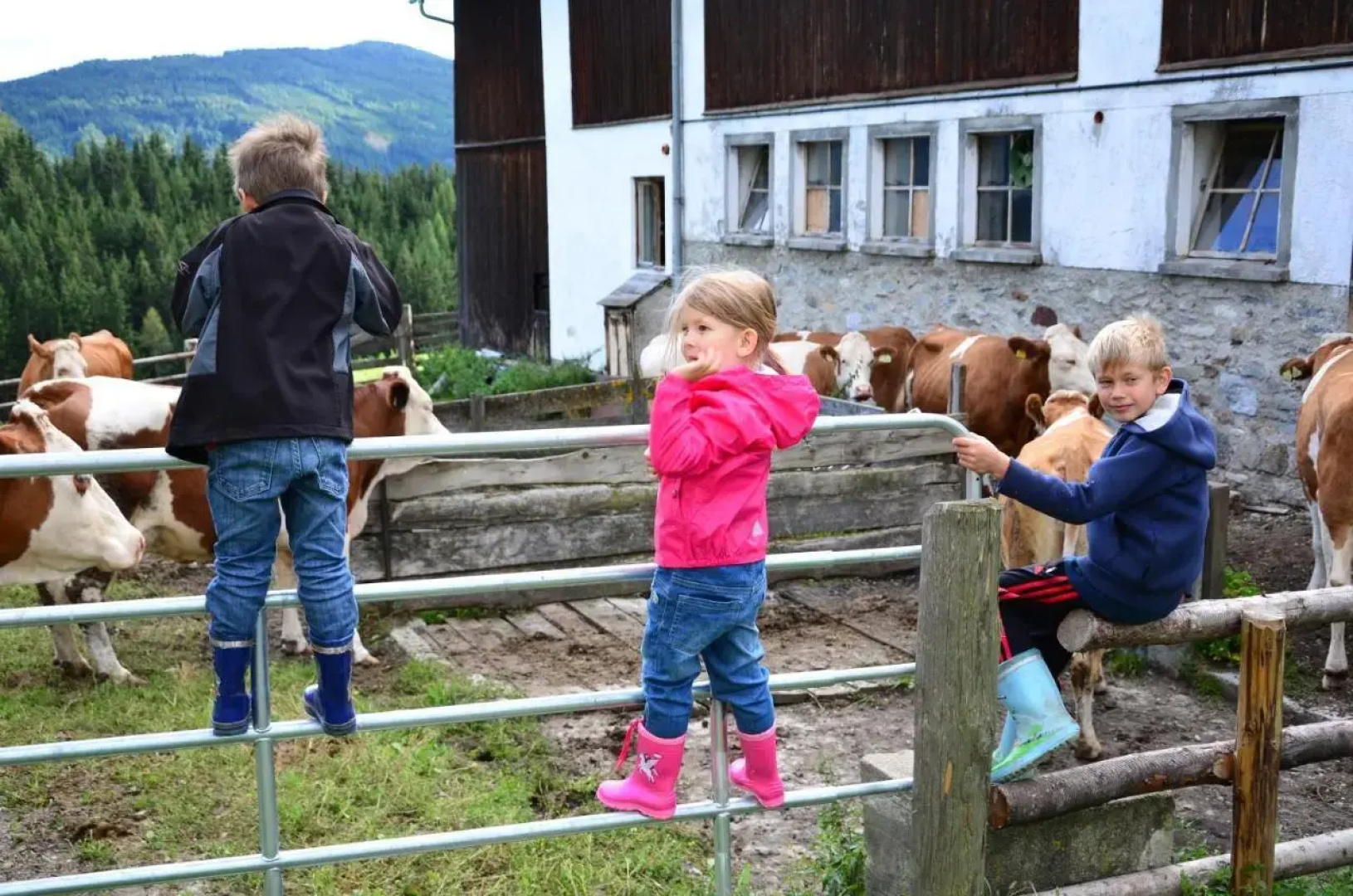 Ferienwohnungen Bachergut