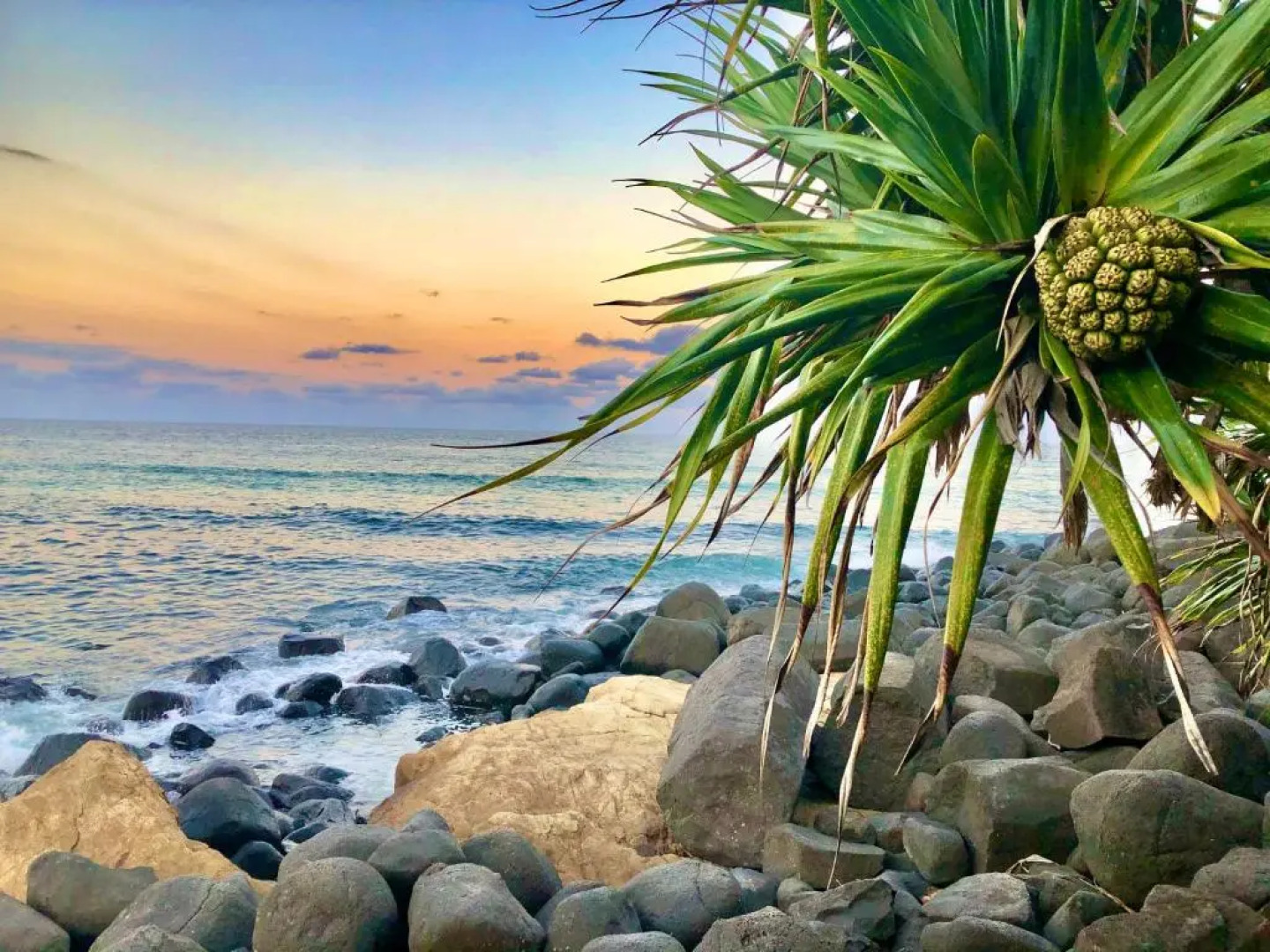 Hideaway Noosa Men Only Beach Resort