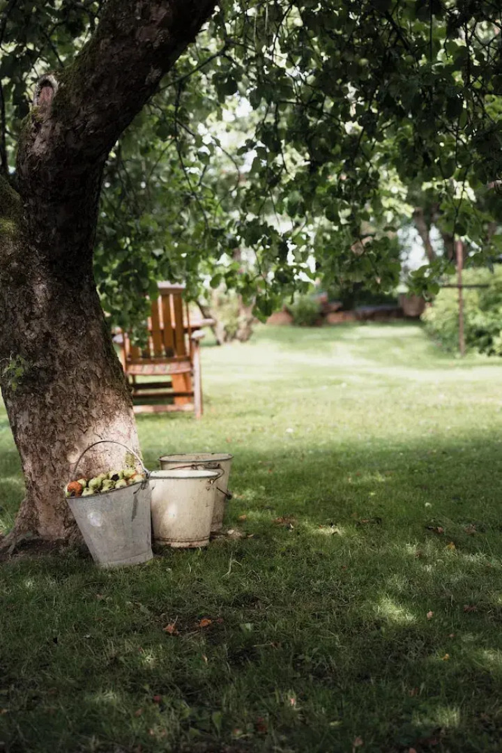 Snickaren Vandrarhem Own apartments