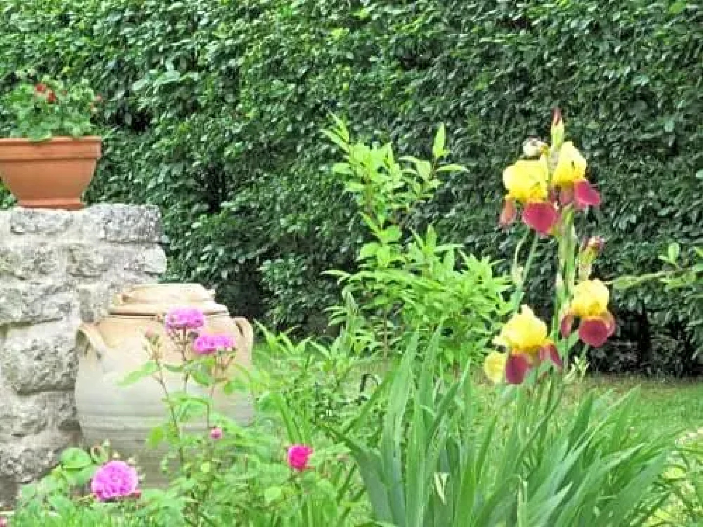 Chambre d'hôtes Le Paradis