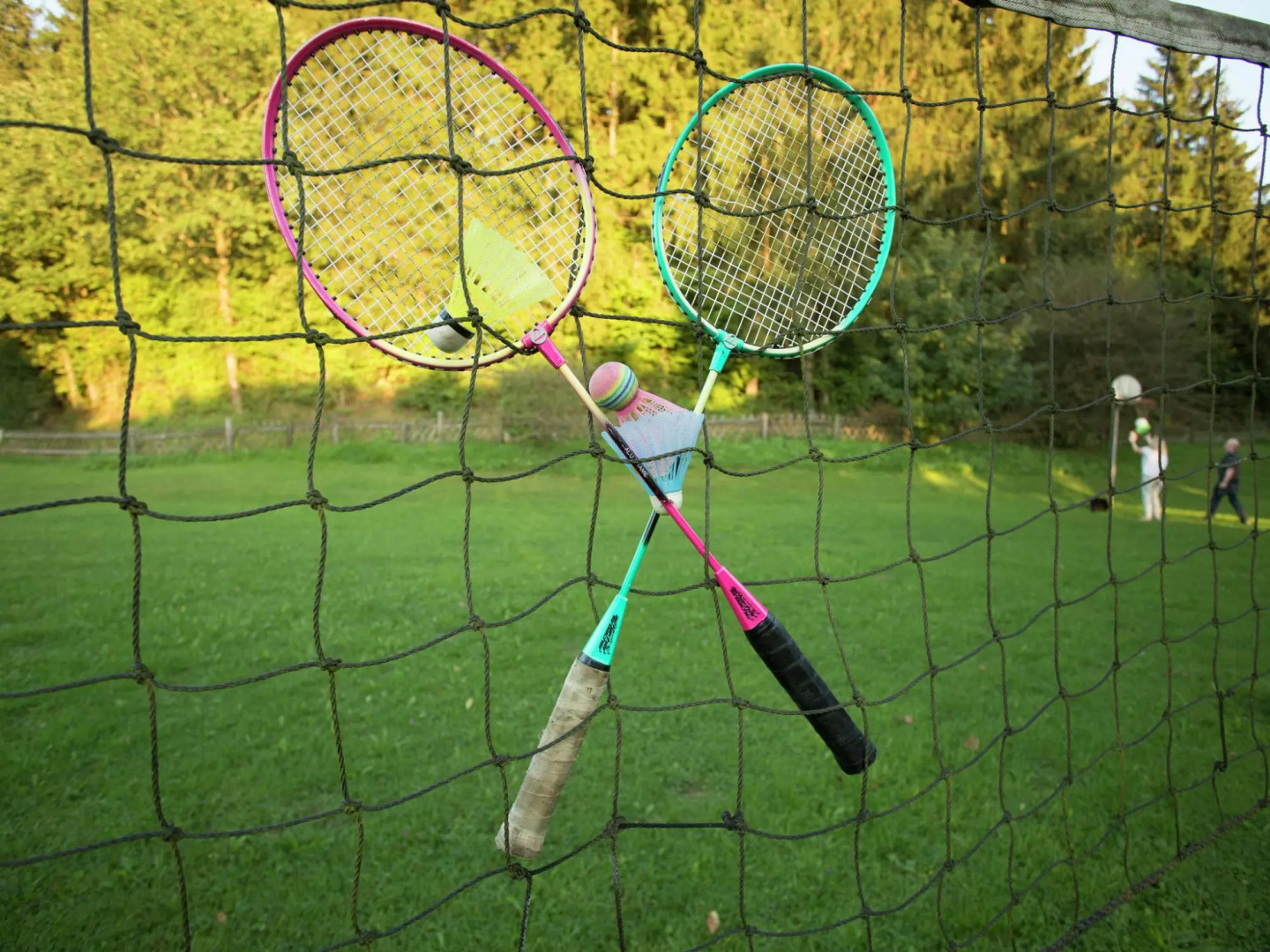 Chalet in Germany With Fireplace & Terrace