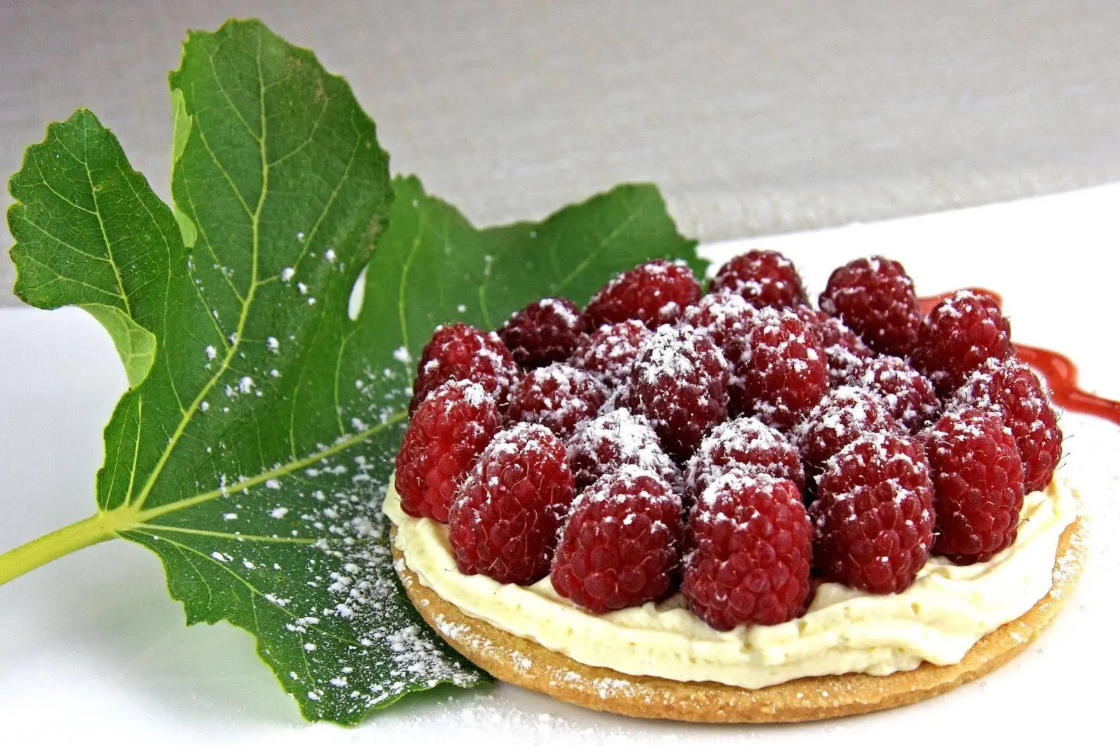 Hôtel le Chêne Vert