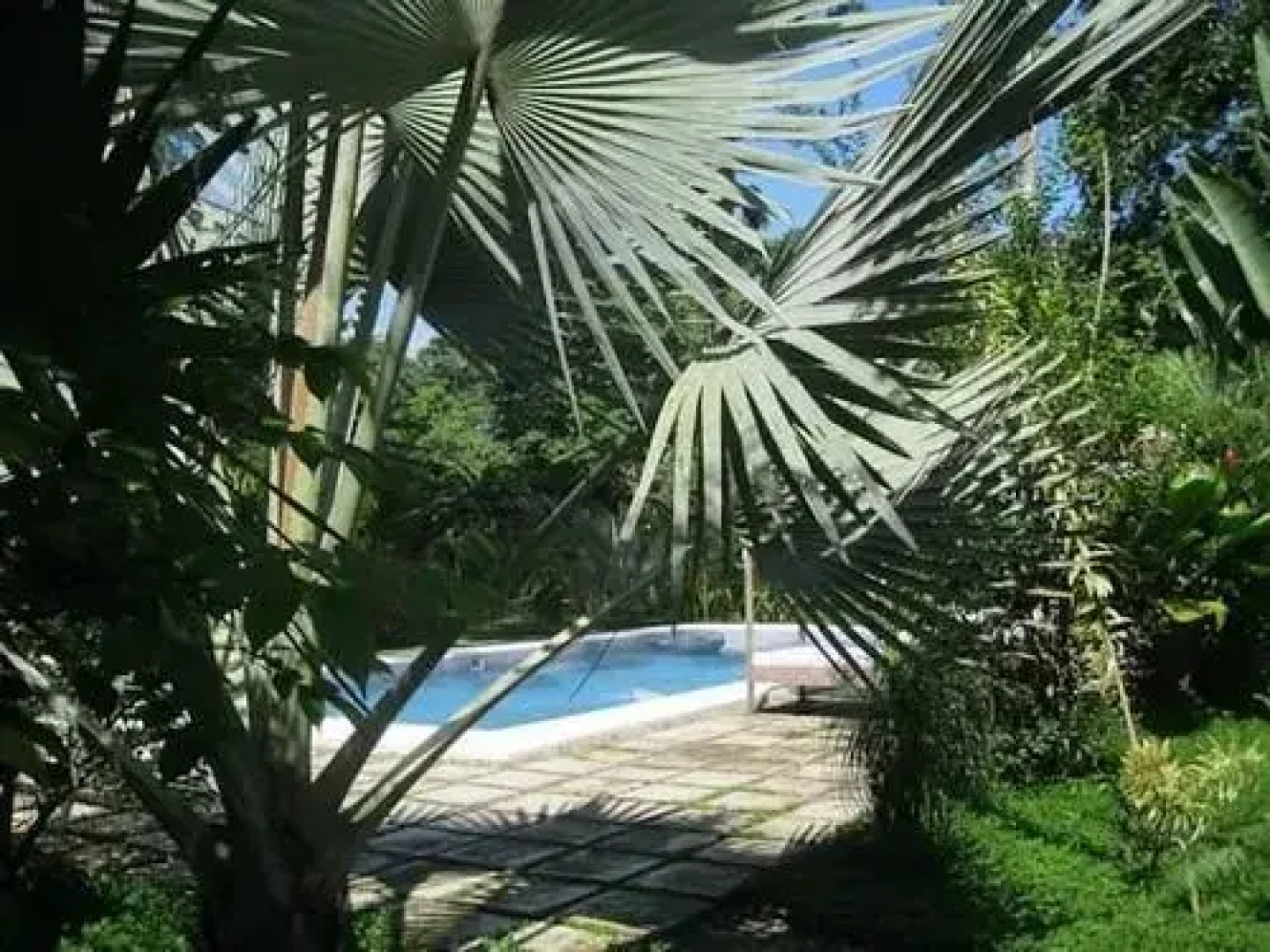 VIP Hotel Playa Negra