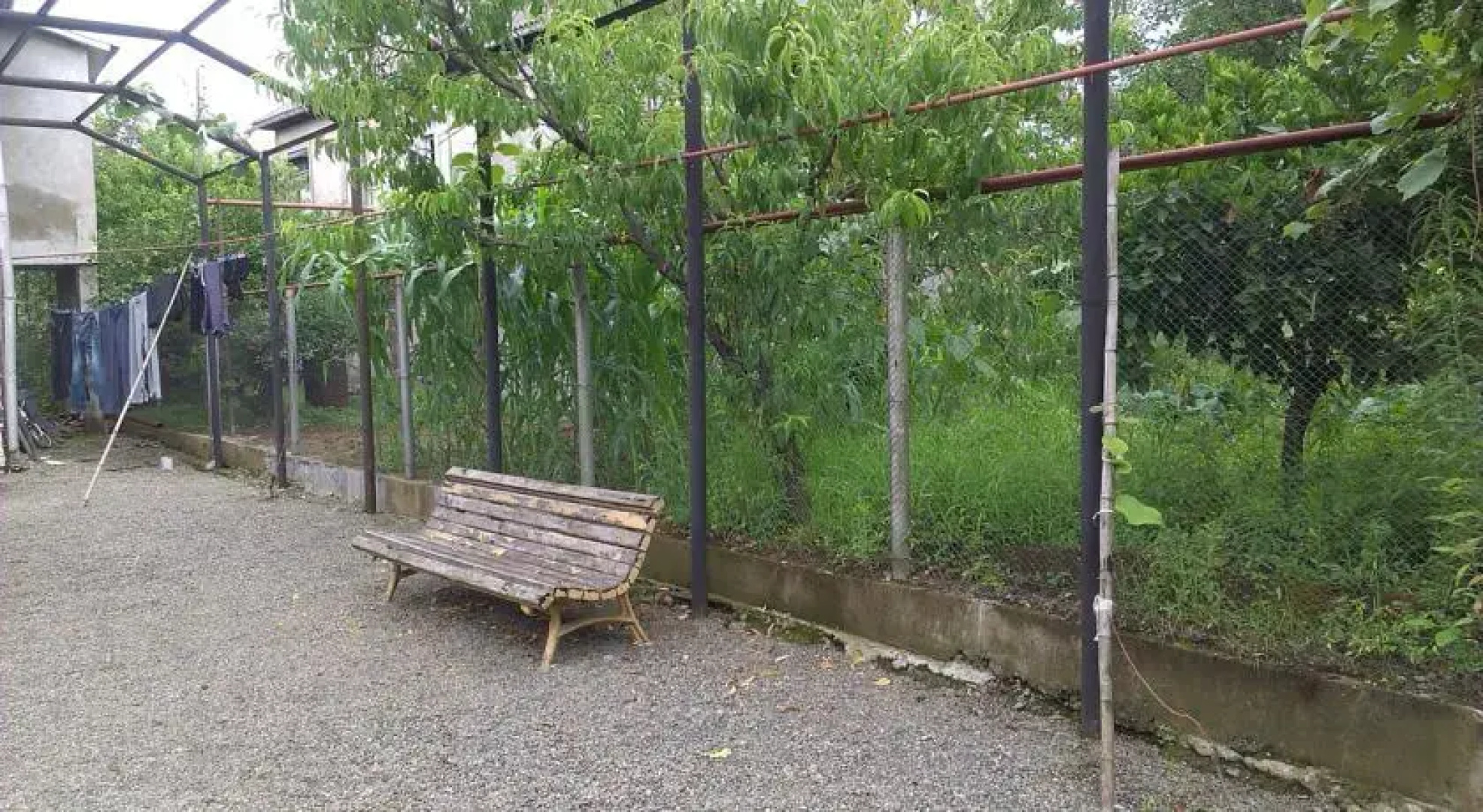 Cottage in Chakvi