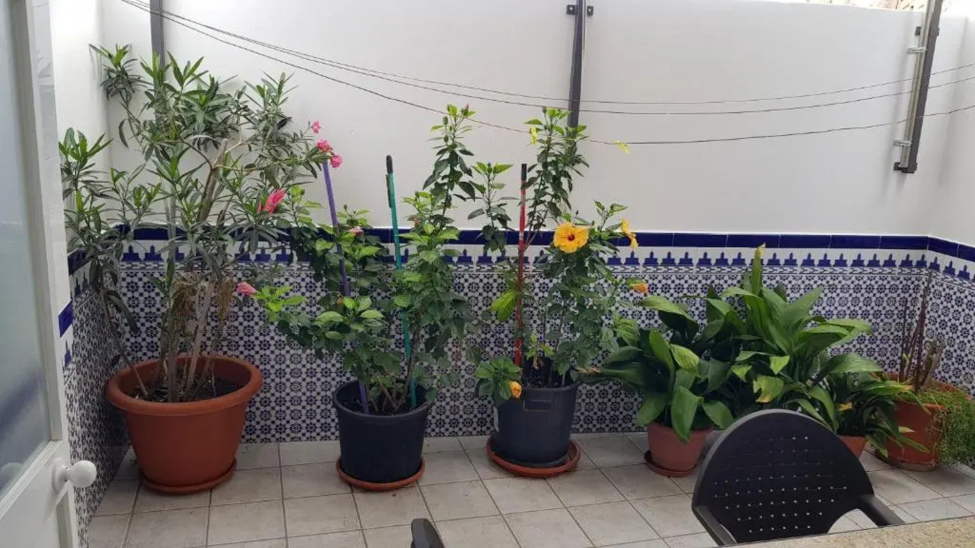 Apartamento Callejuela Las Flores