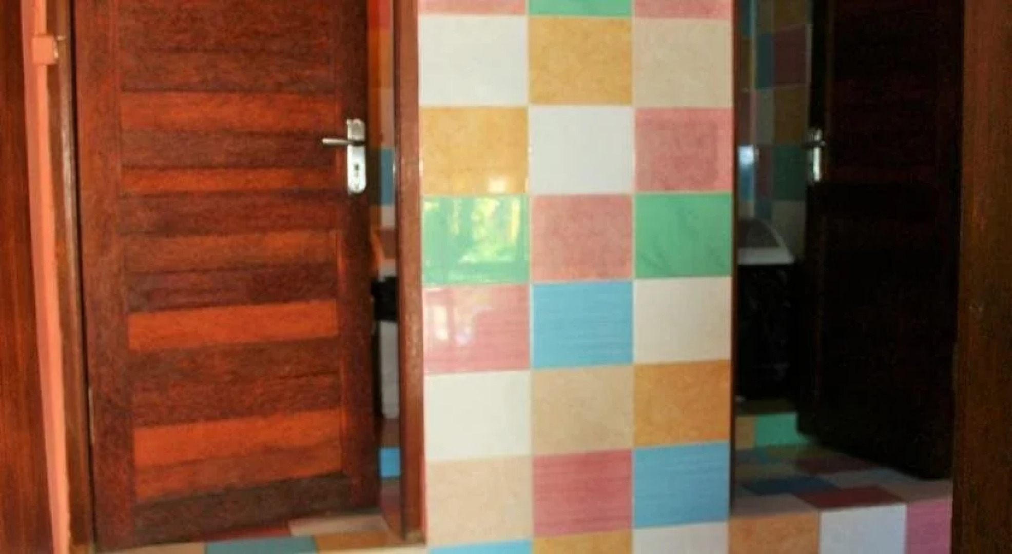 The Happy Mango Tree