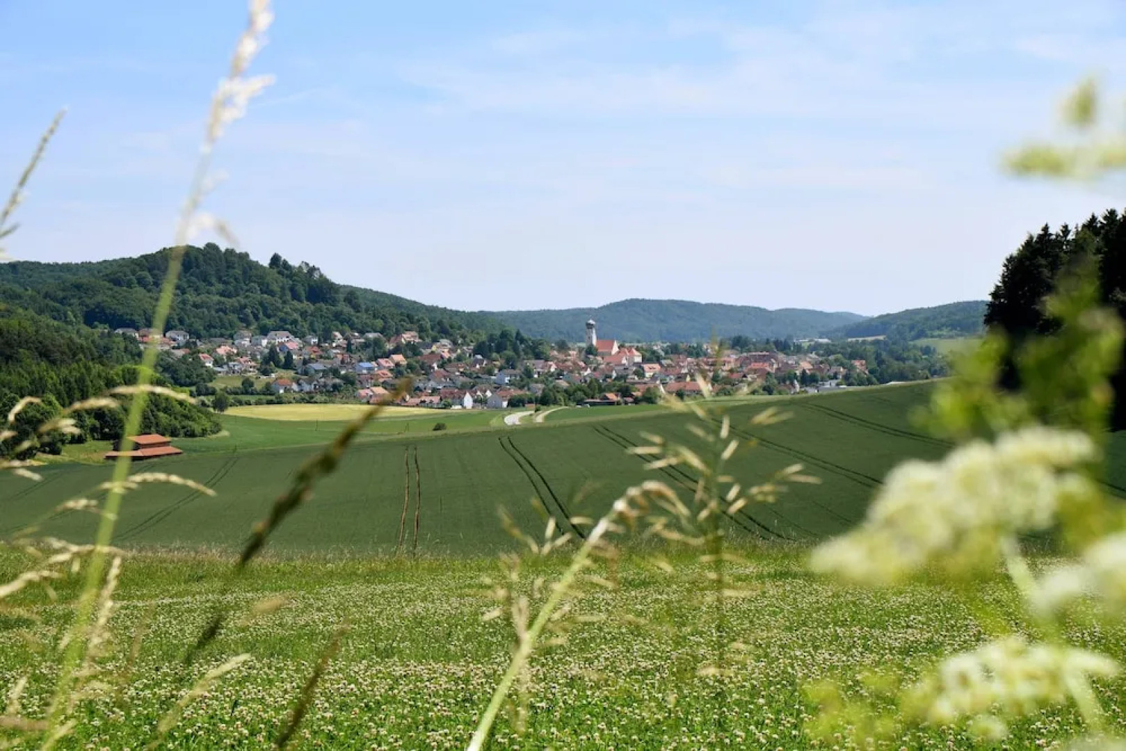Hotel Gasthof Zum Löwen