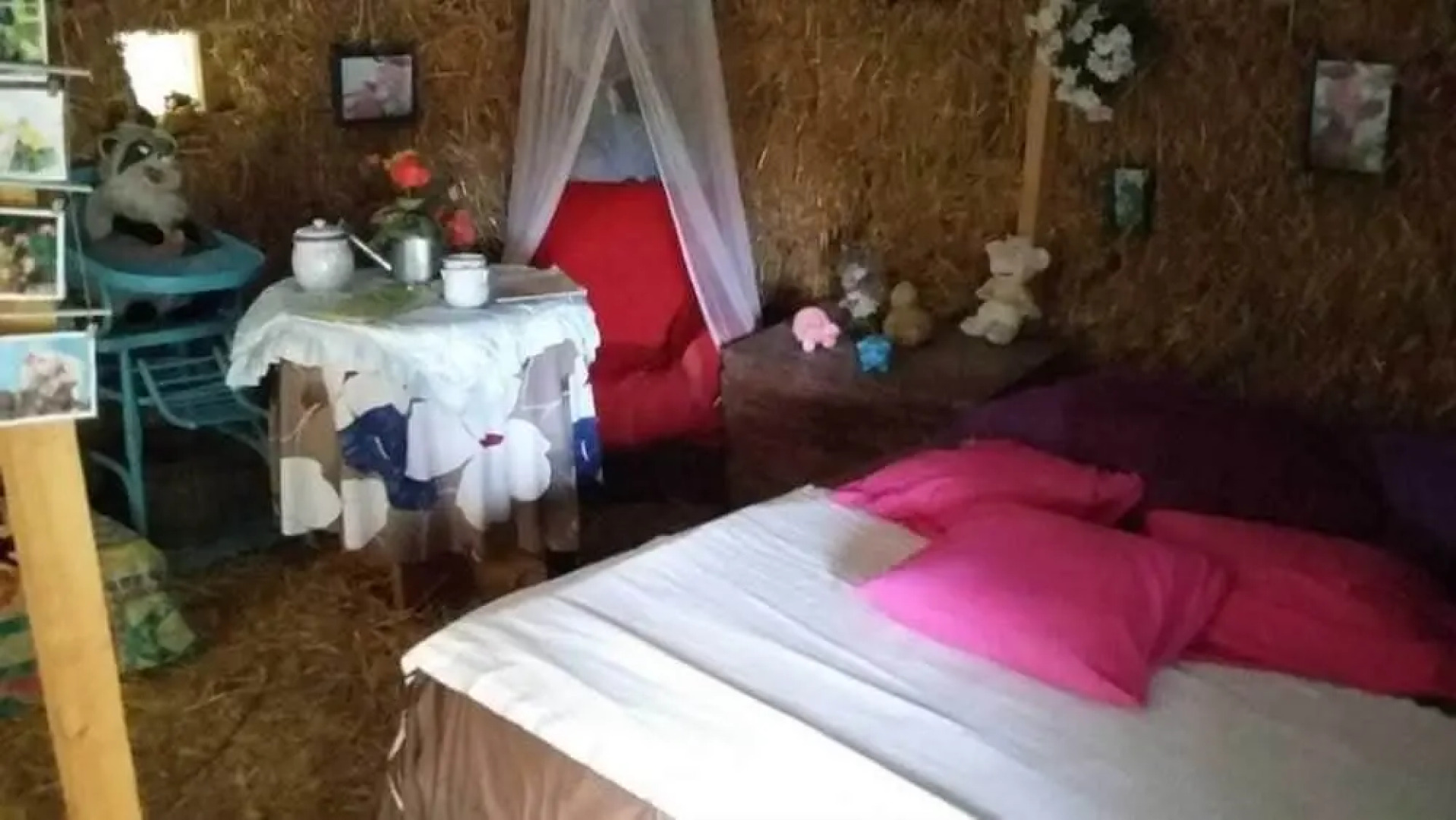 Insolites du Bonheur de Vivre