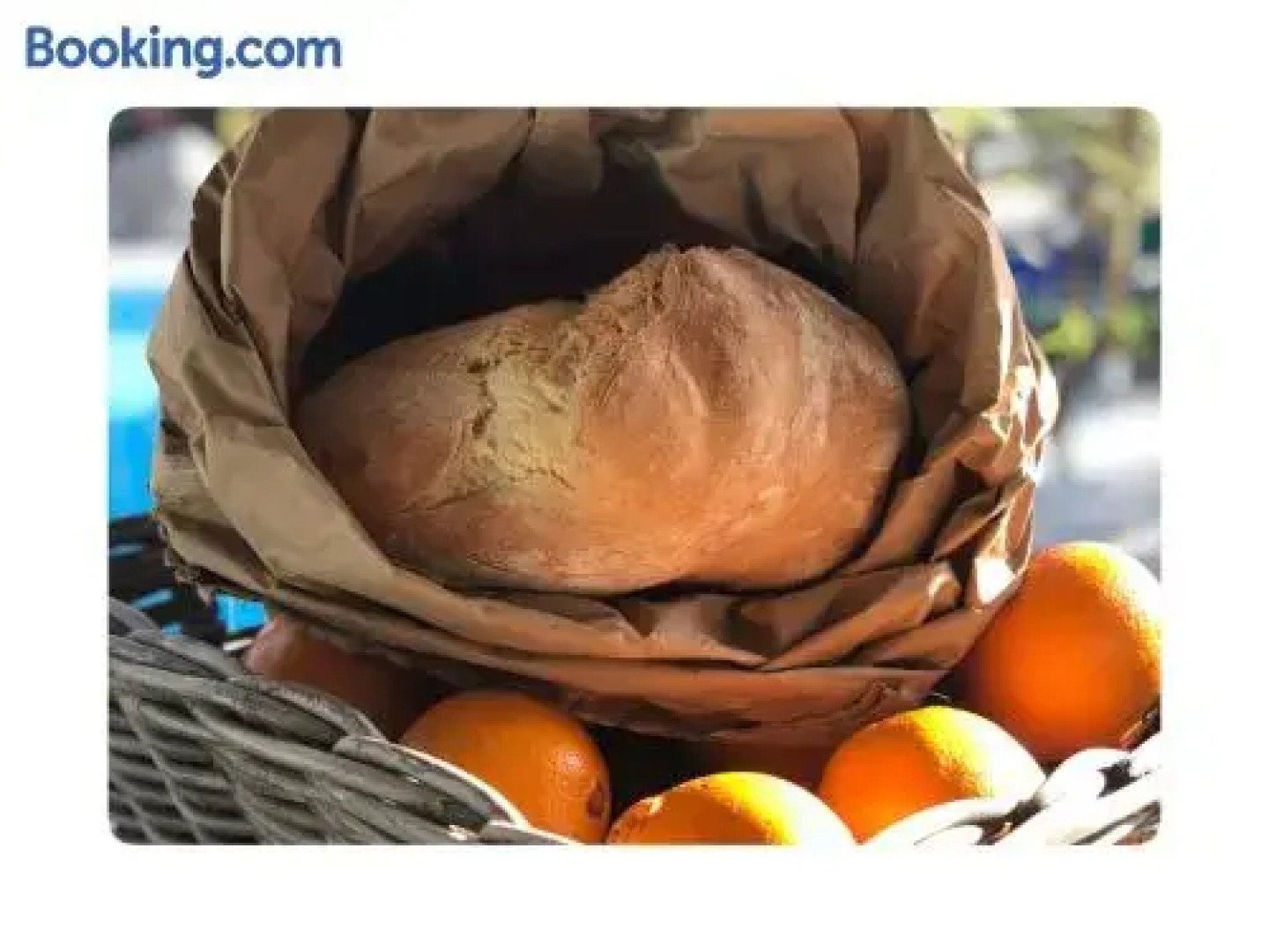 Casa Rico Frade Garden