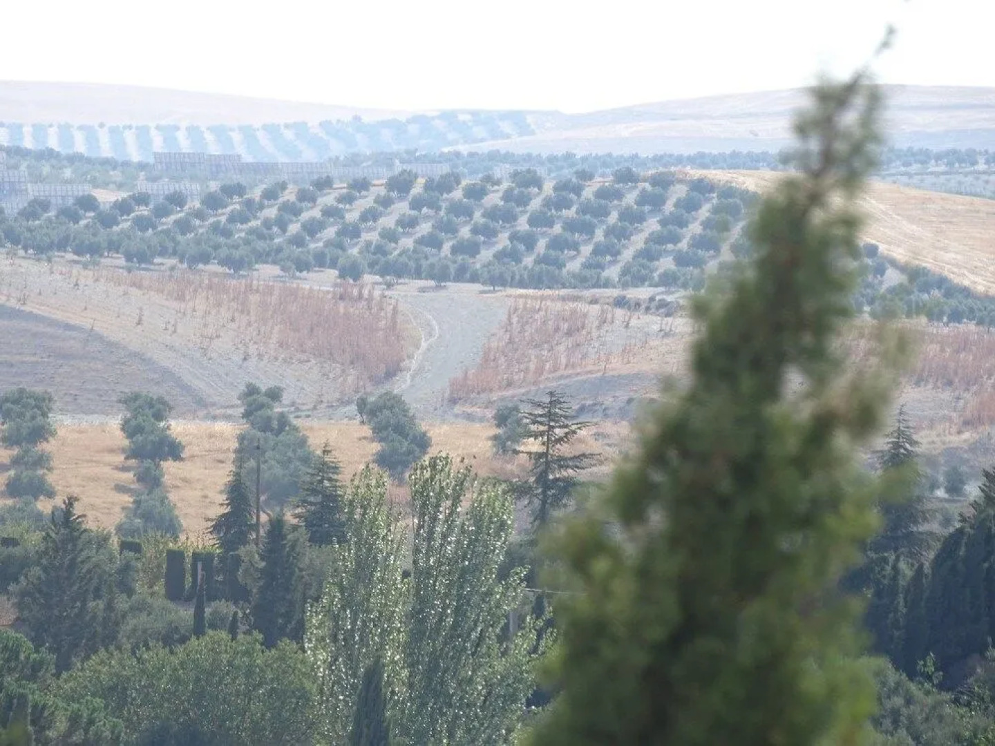 Villa El Palomar de Granada