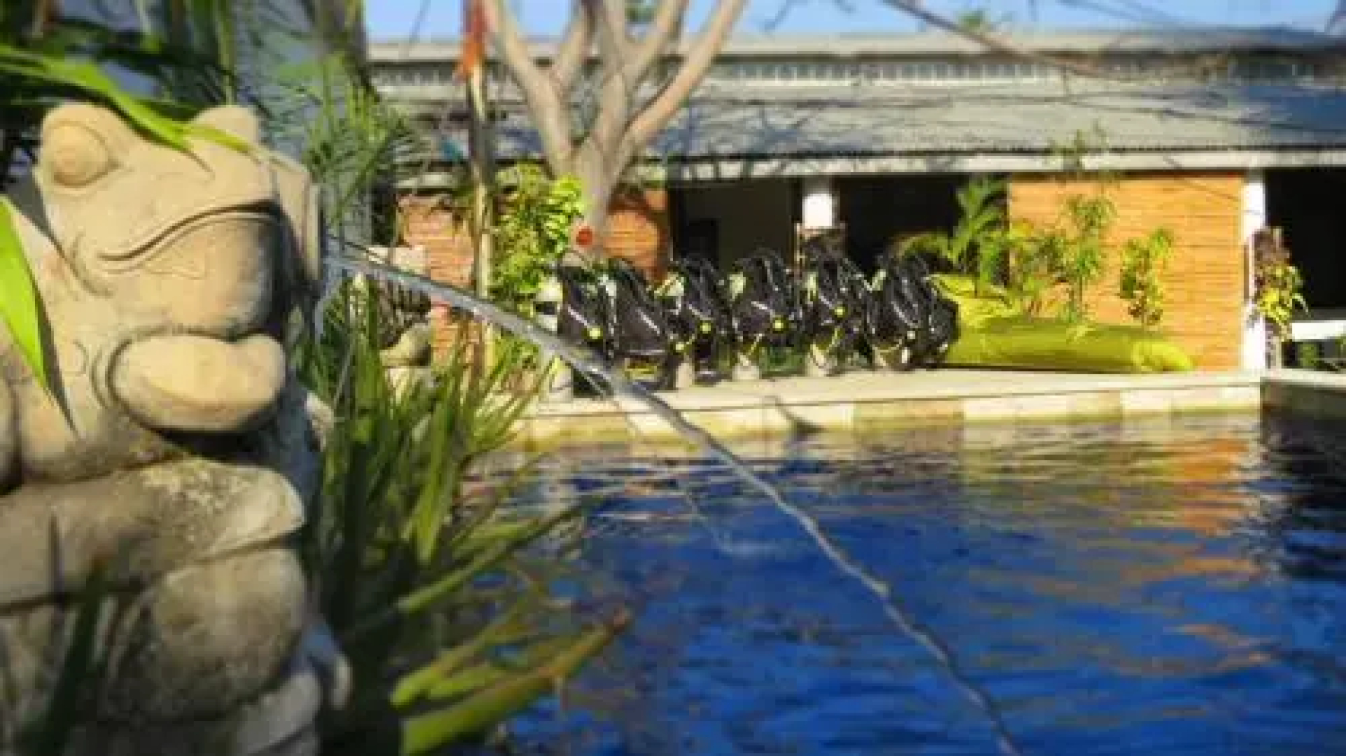 Timor Backpackers