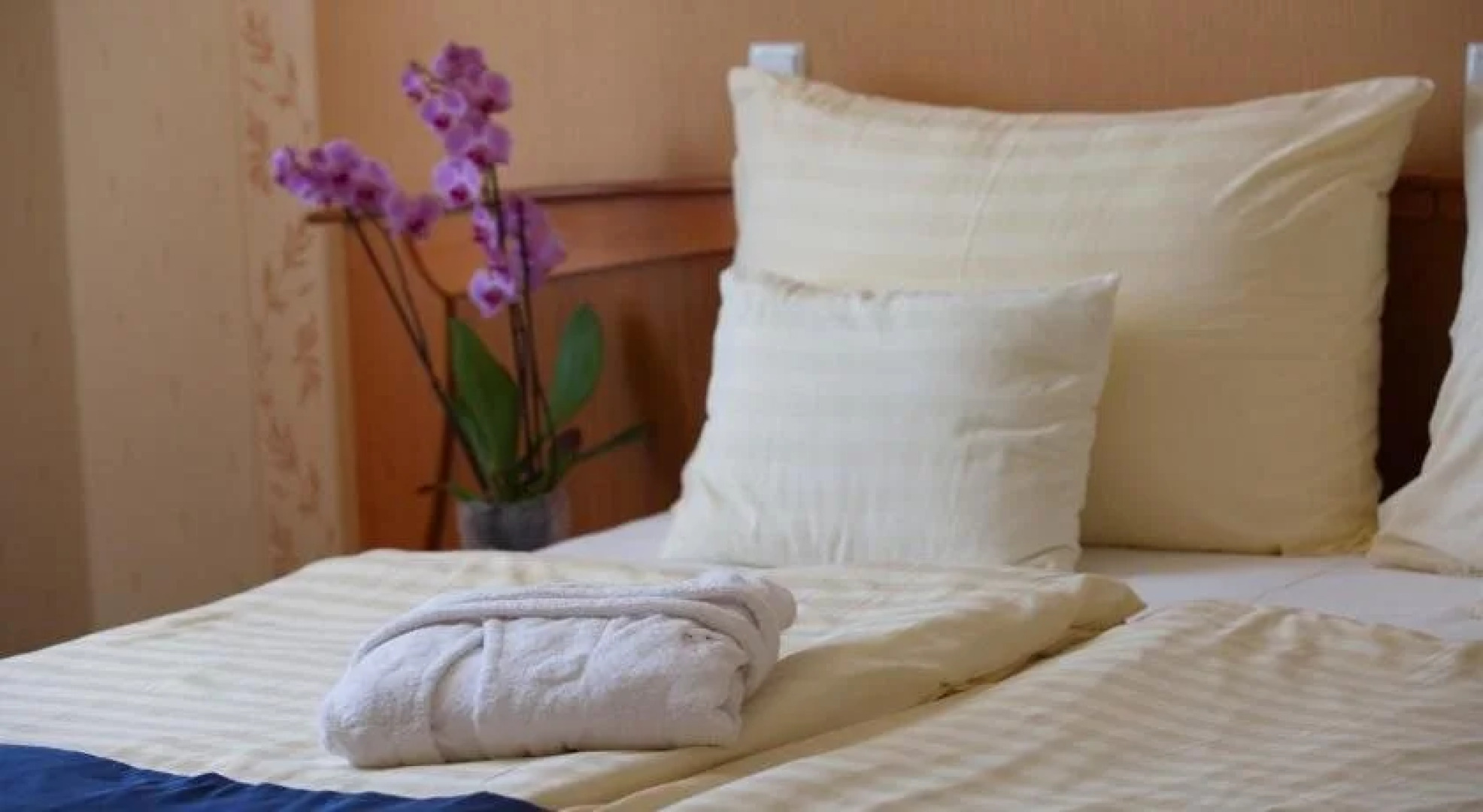 Flamingó Wellness Hotel