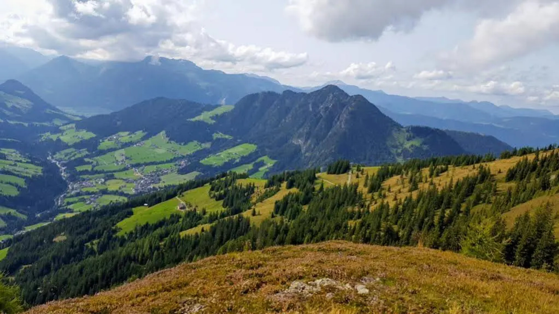 Studio Schwarzenauer