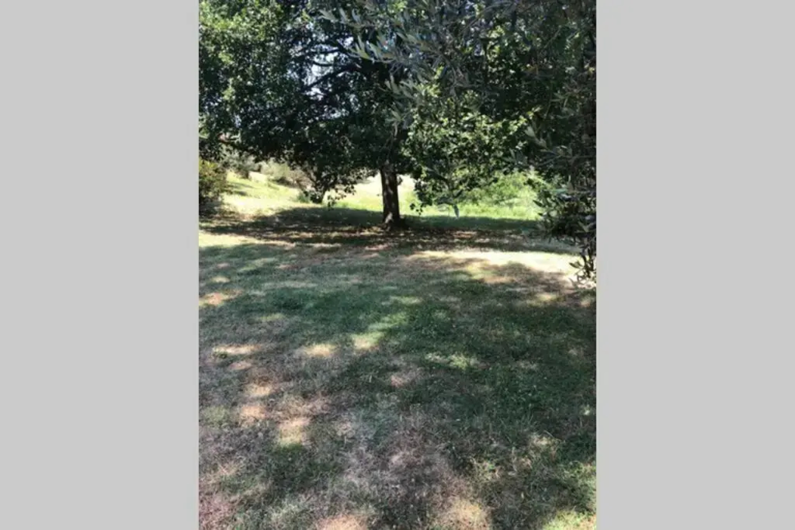 Casa Vacanze "Green Park"