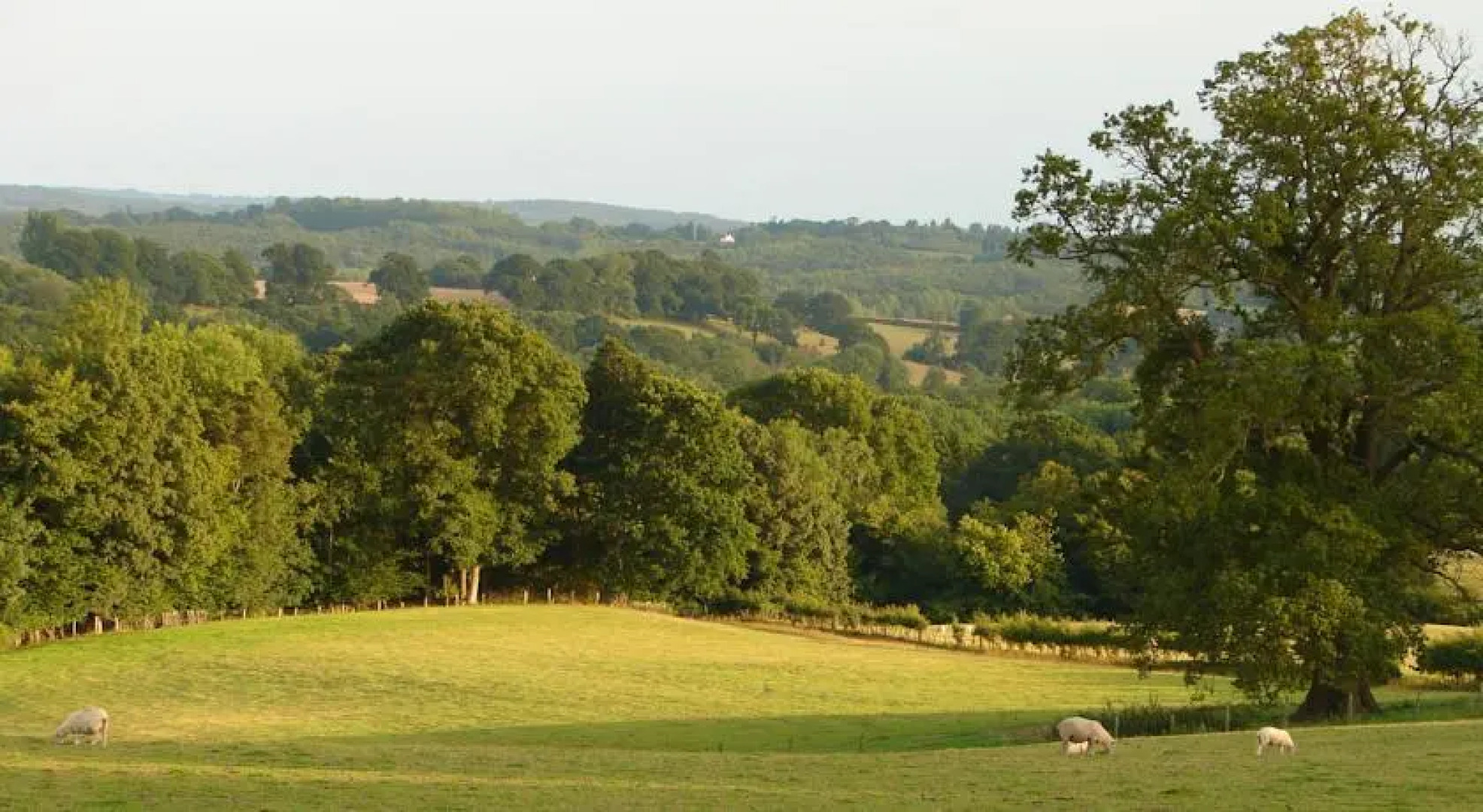 Southgate - Little Fowlers