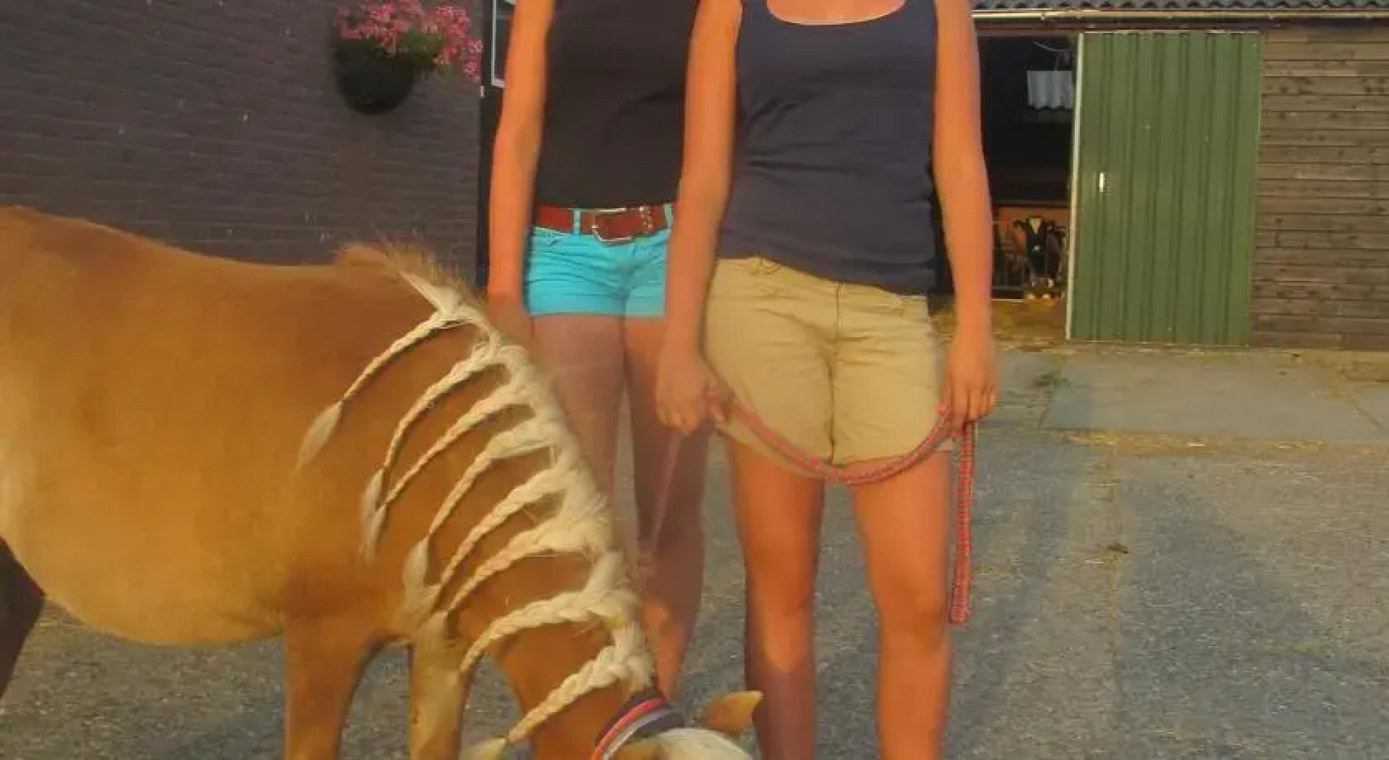 Hoeve Molenweide Farm Stay