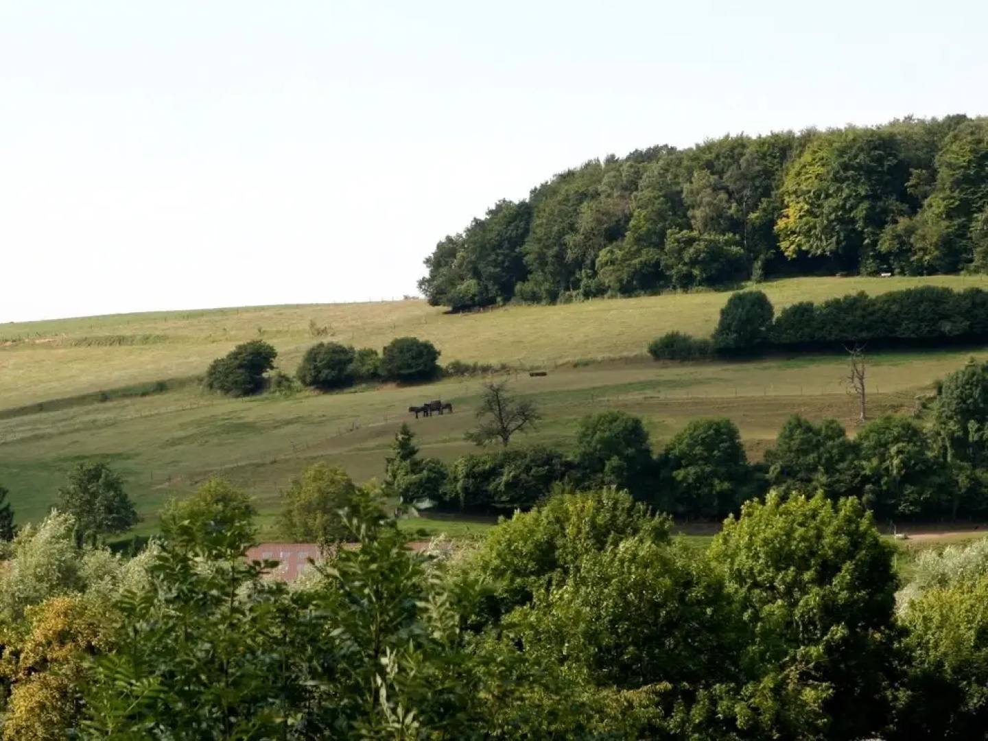 Spacious Apartment in Schin op Geul Near the River